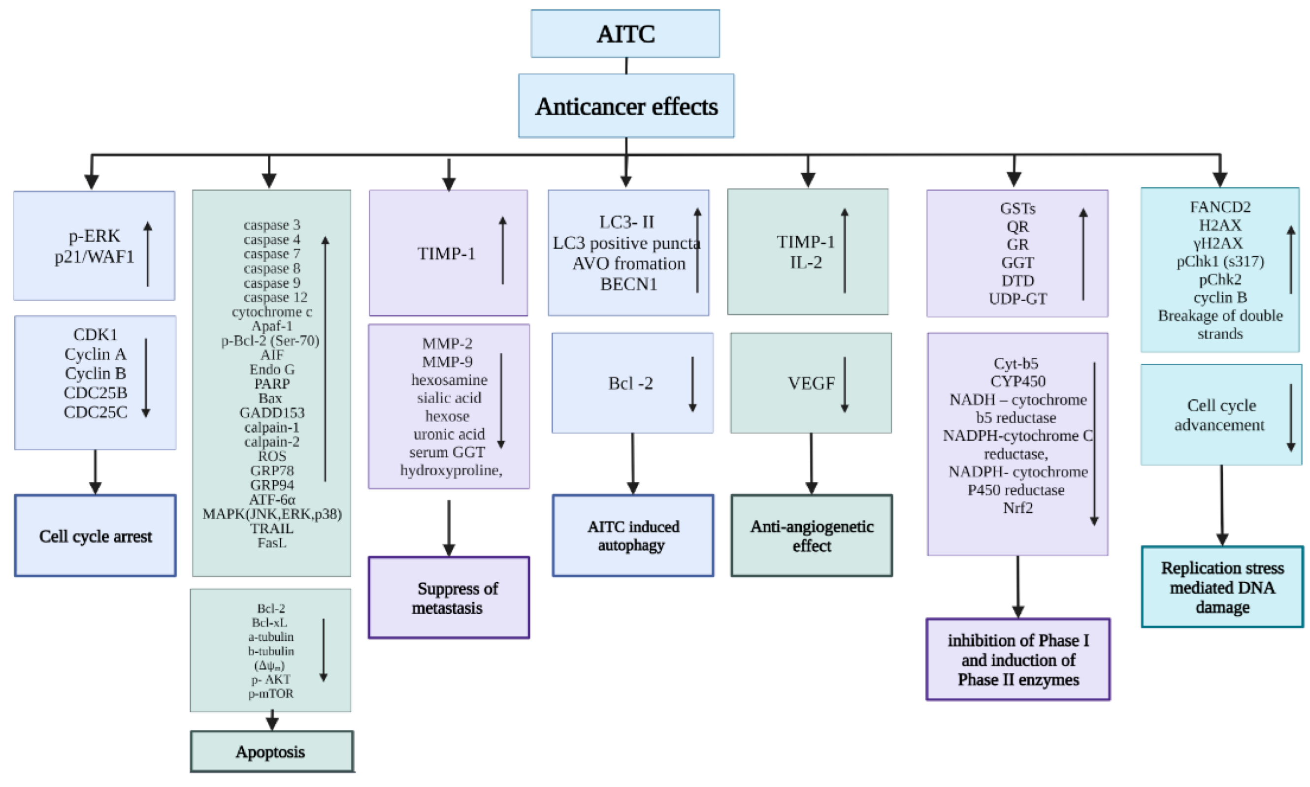 Bioengineering 09 00470 g004