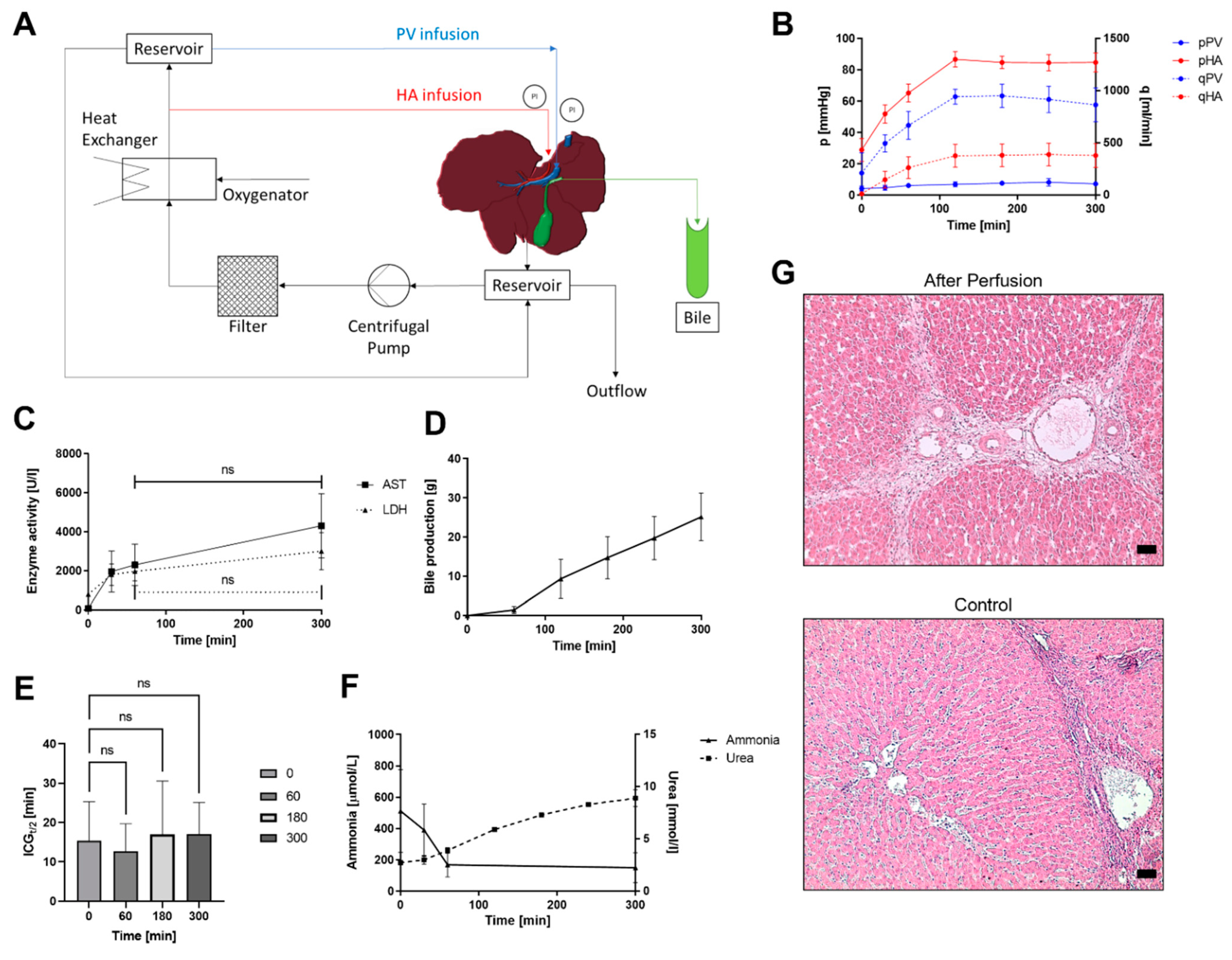 Bioengineering 09 00471 g001
