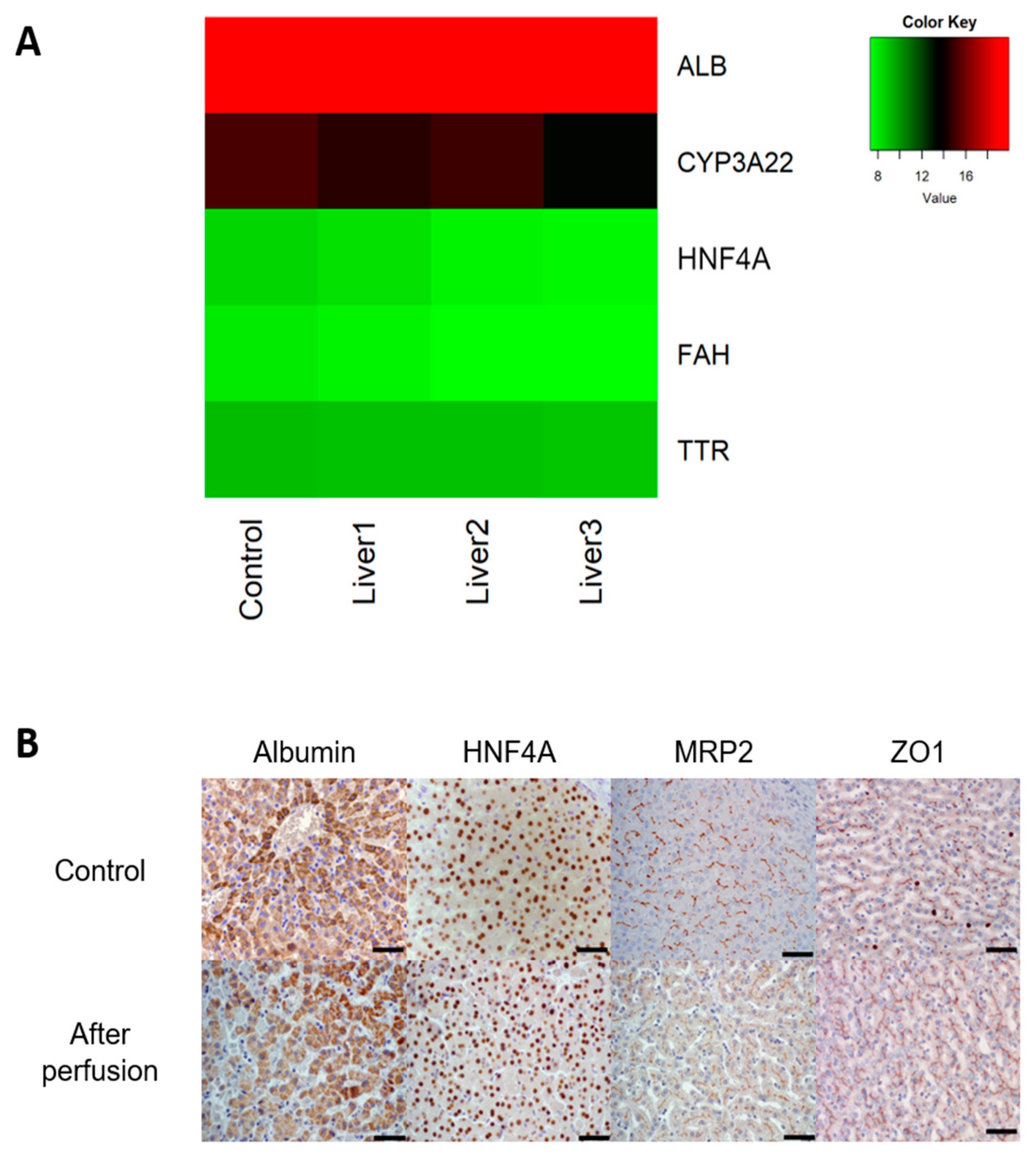 Bioengineering 09 00471 g002