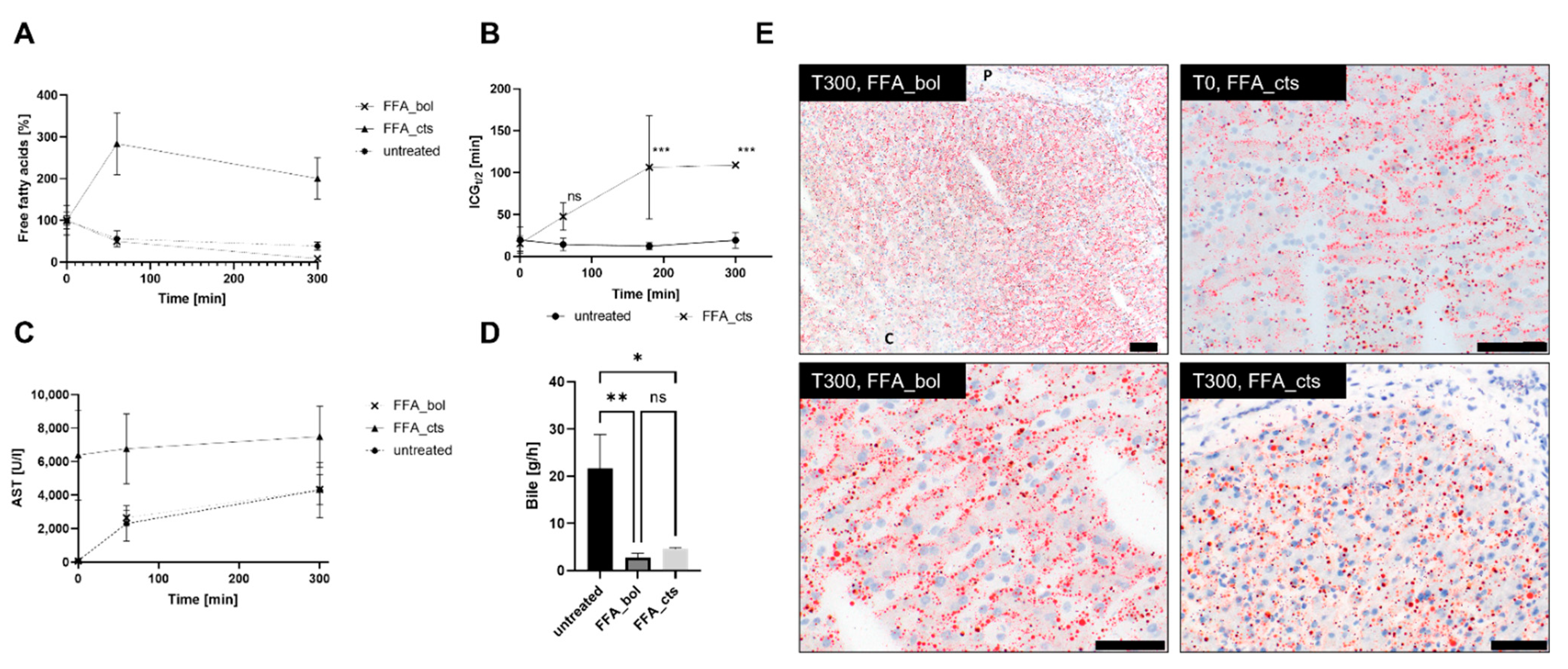 Bioengineering 09 00471 g003