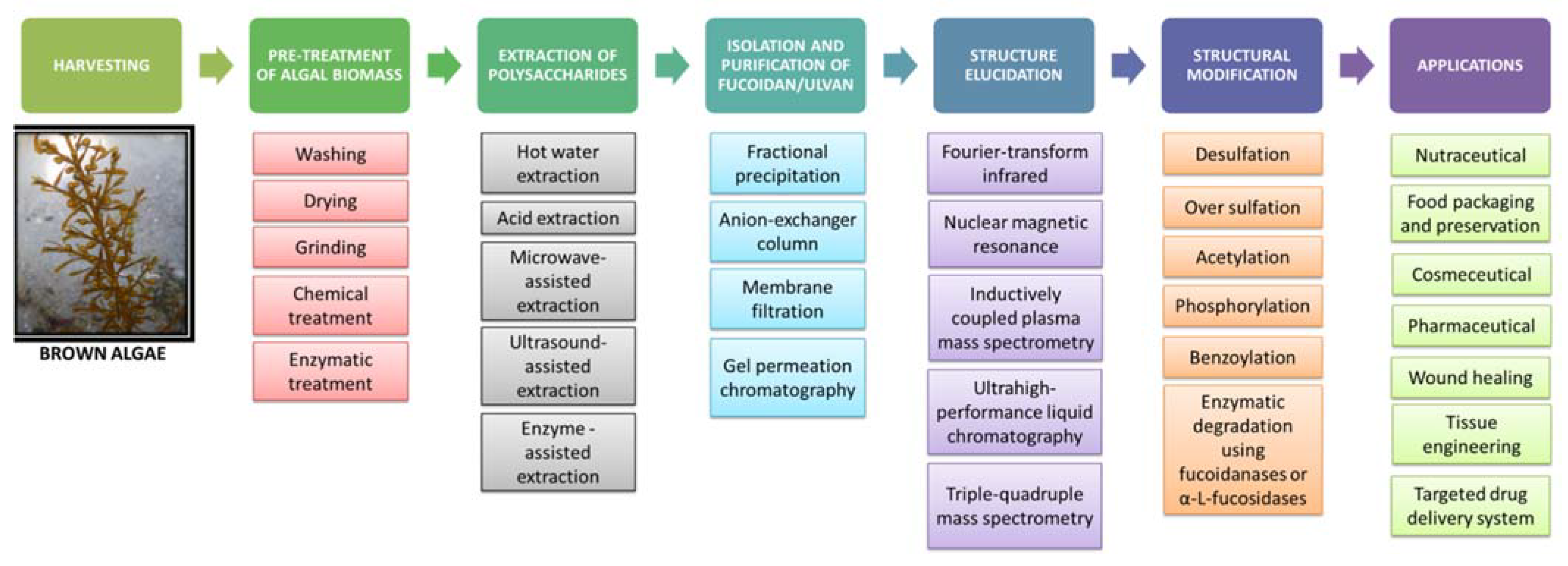 Bioengineering 09 00472 g002 550