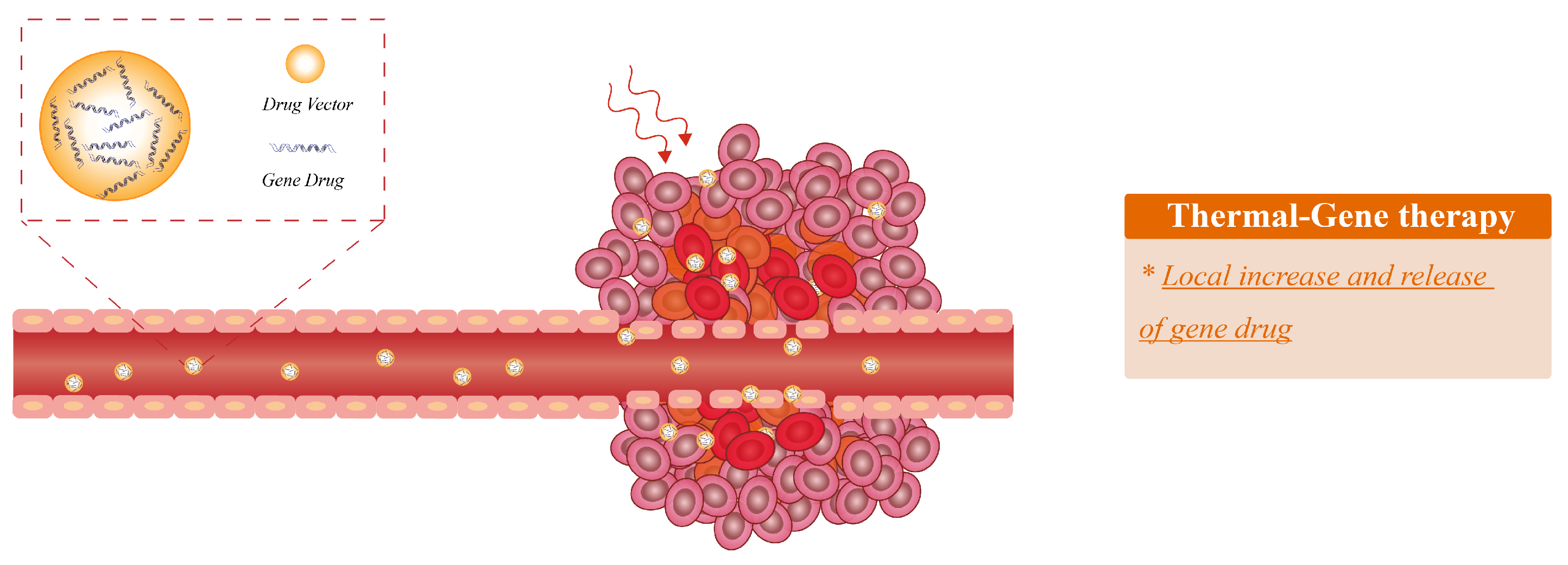 Bioengineering 09 00474 g005