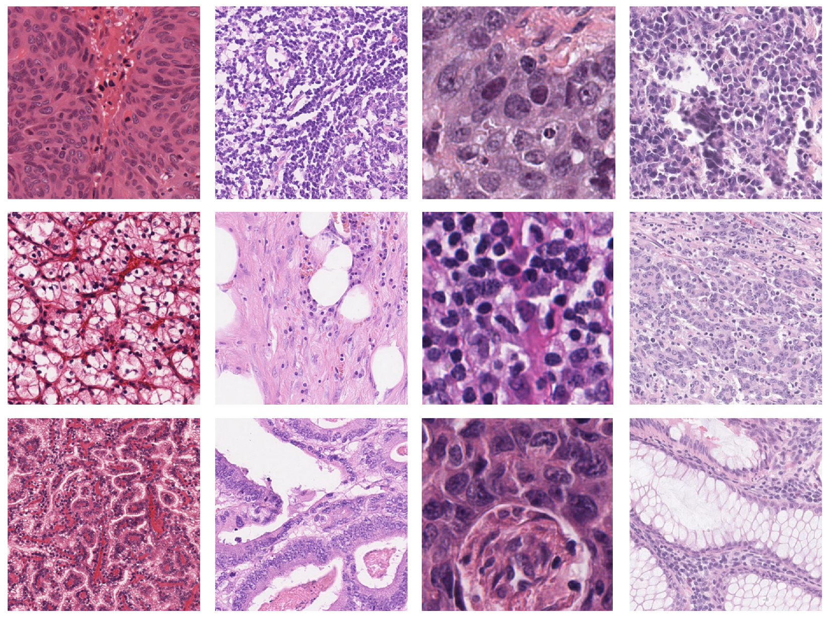 Bioengineering 09 00475 g002