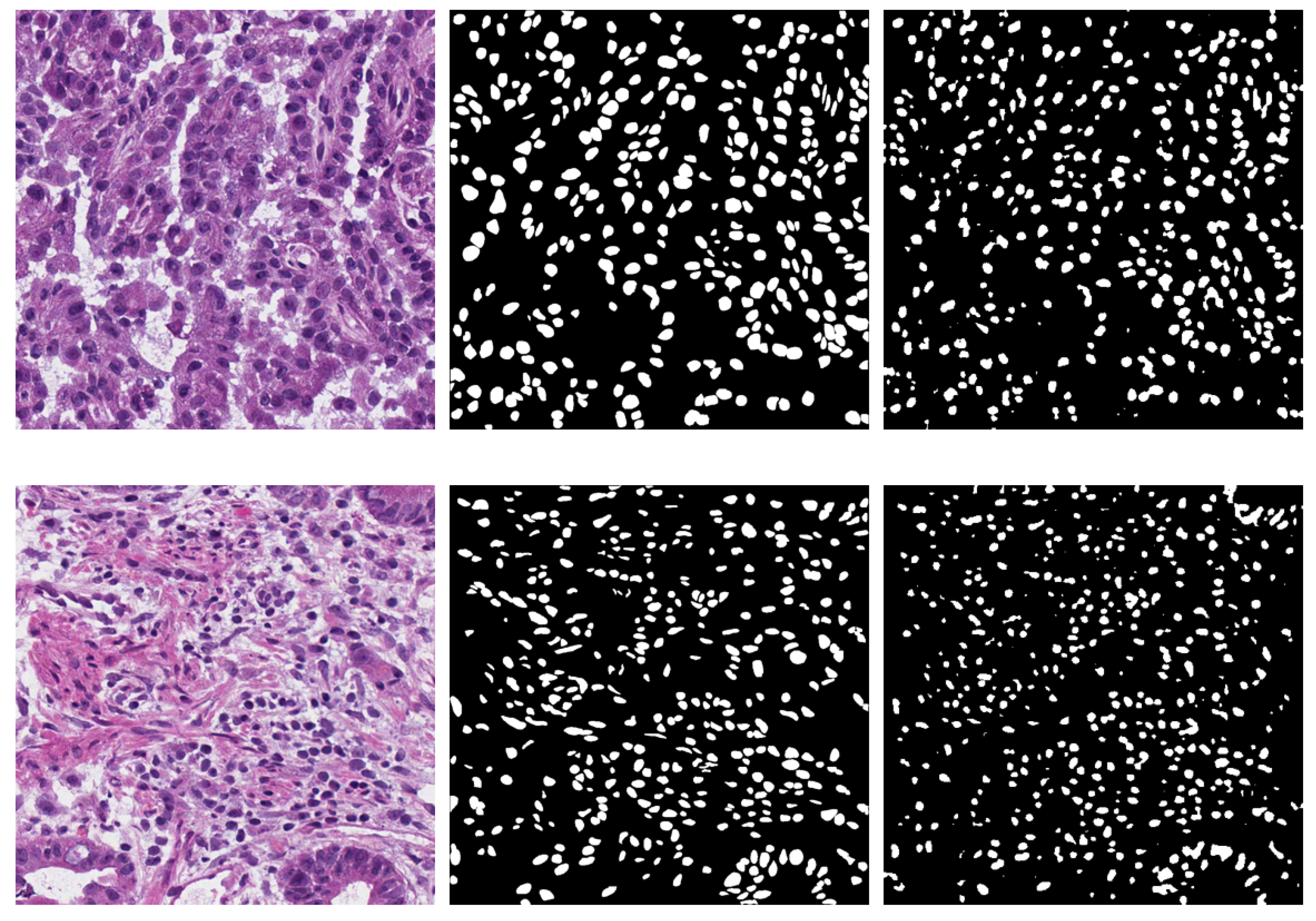 Bioengineering 09 00475 g003