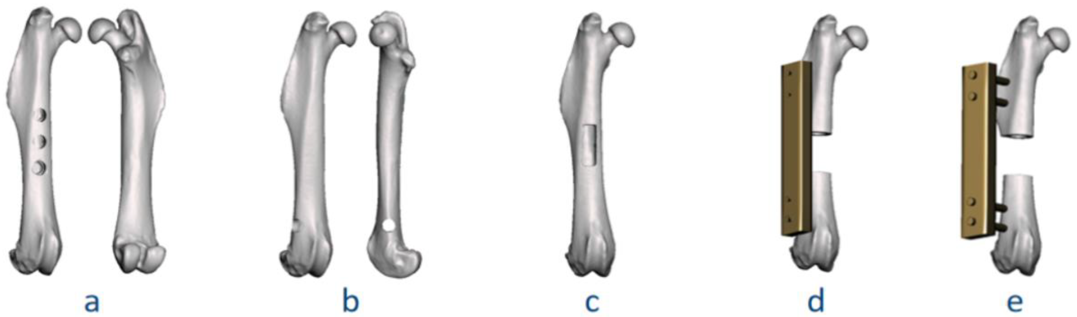 Bioengineering 09 00476 g007