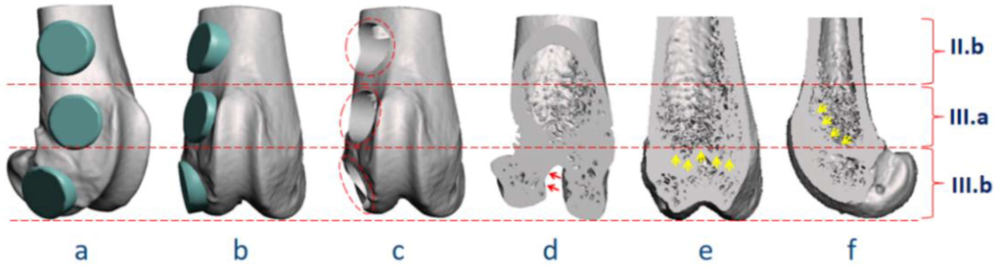 Bioengineering 09 00476 g008
