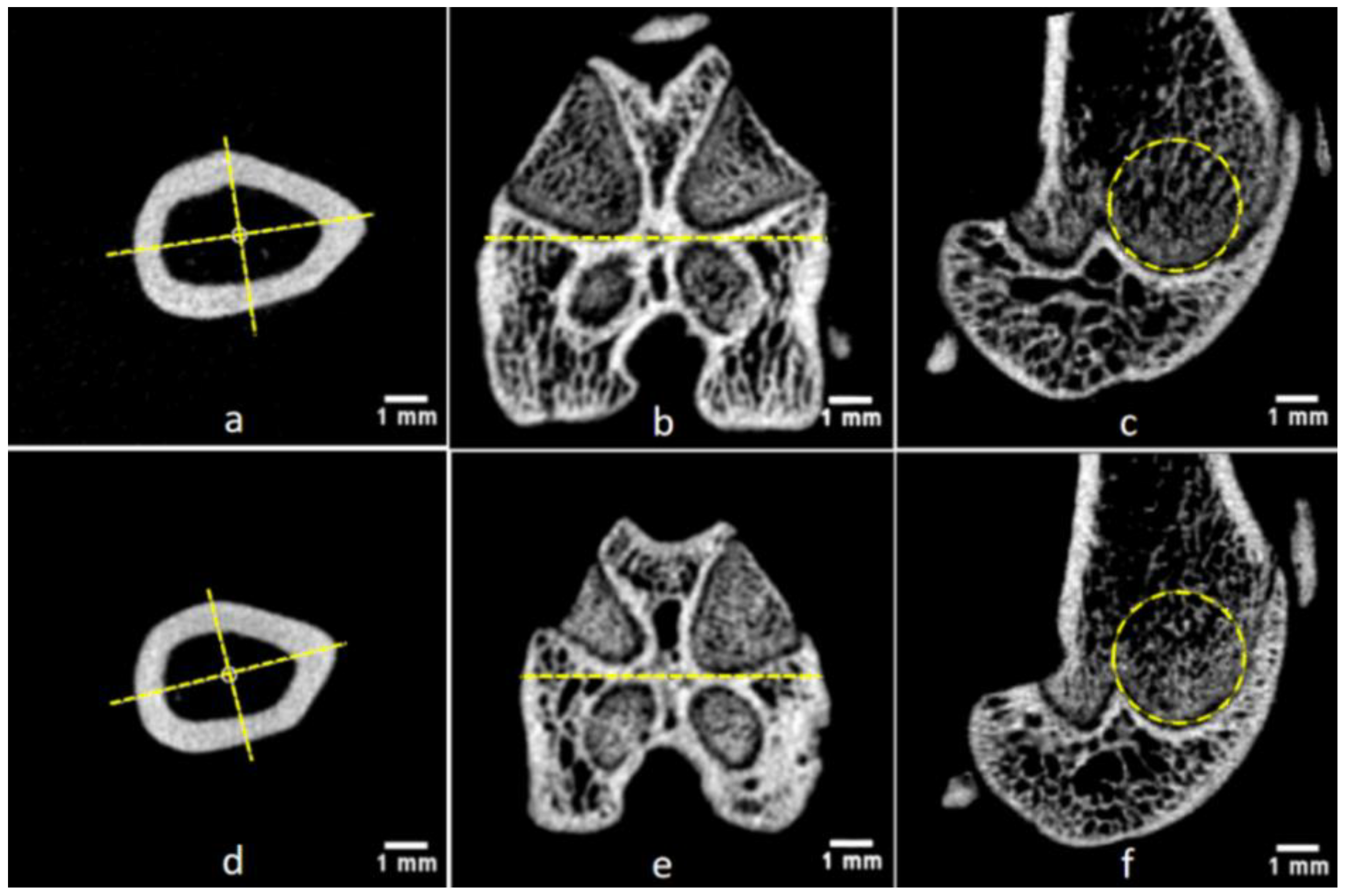 Bioengineering 09 00476 g009