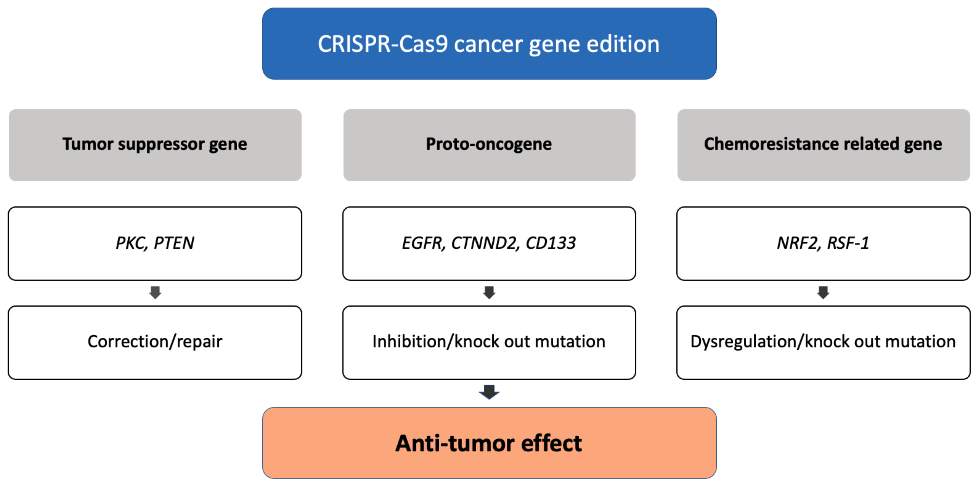 Bioengineering 09 00477 g001