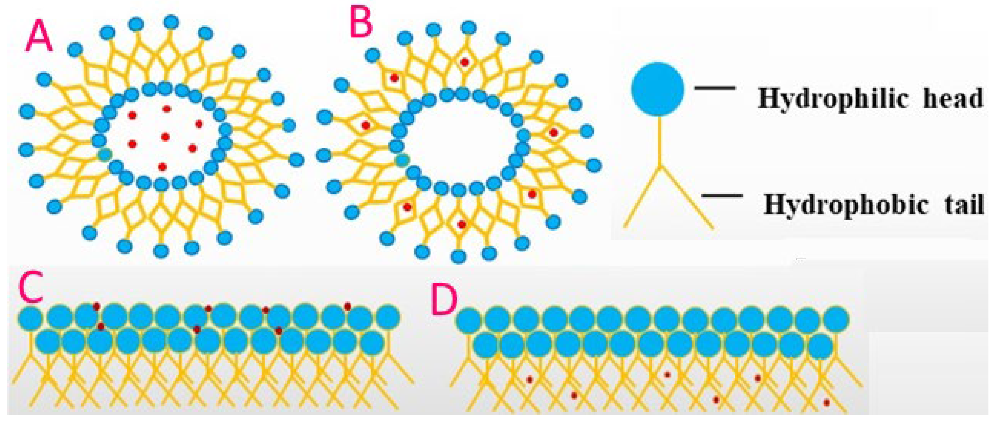 Bioengineering 09 00478 g006 Bioengineering 09 00478 g006