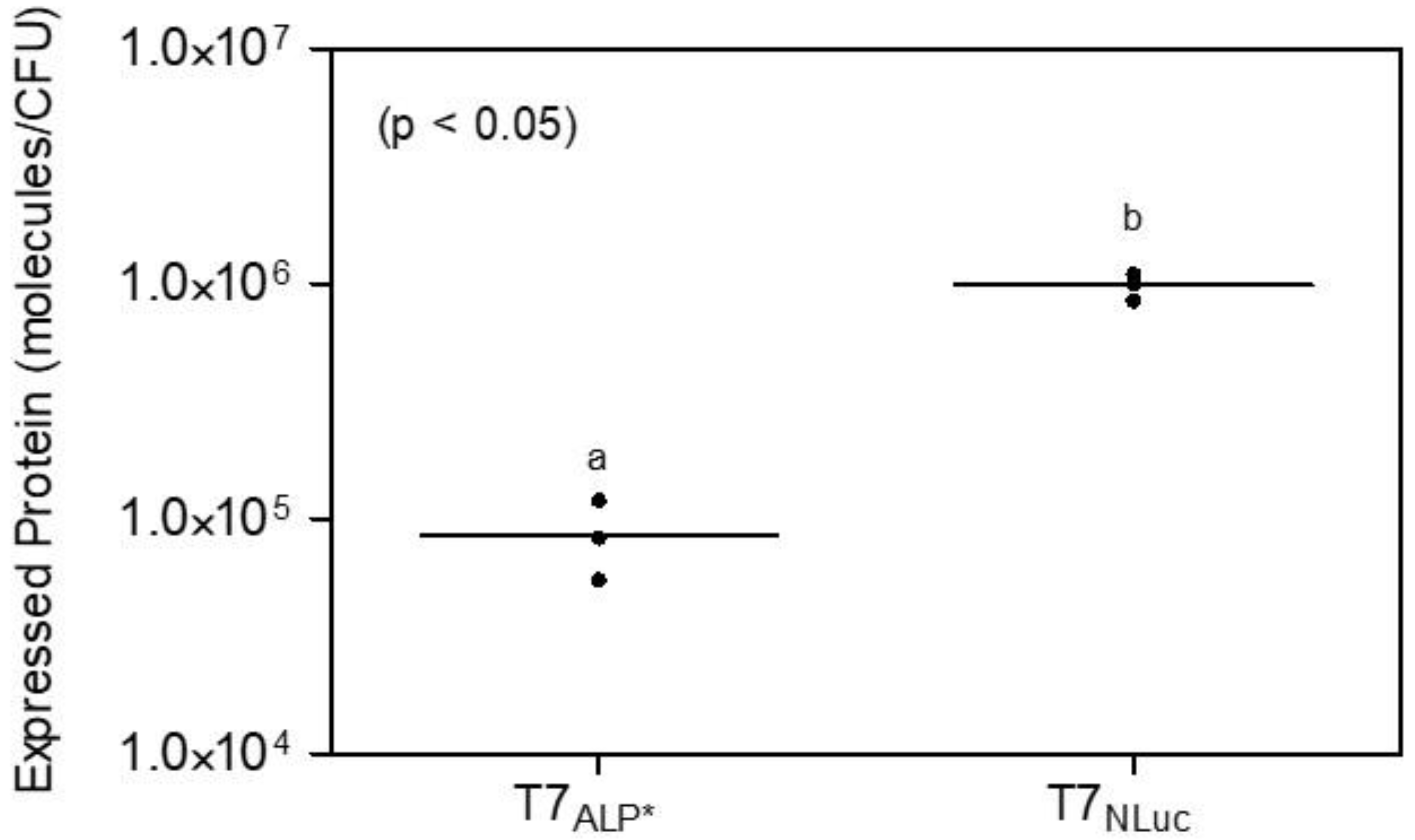 Bioengineering 09 00479 g003