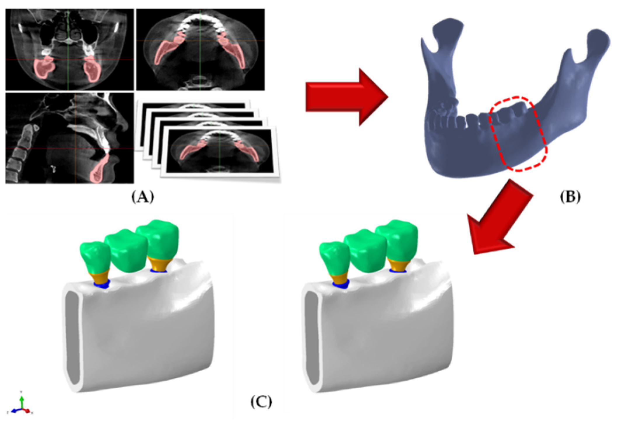Bioengineering 09 00483 g003 Bioengineering 09 00483 g003