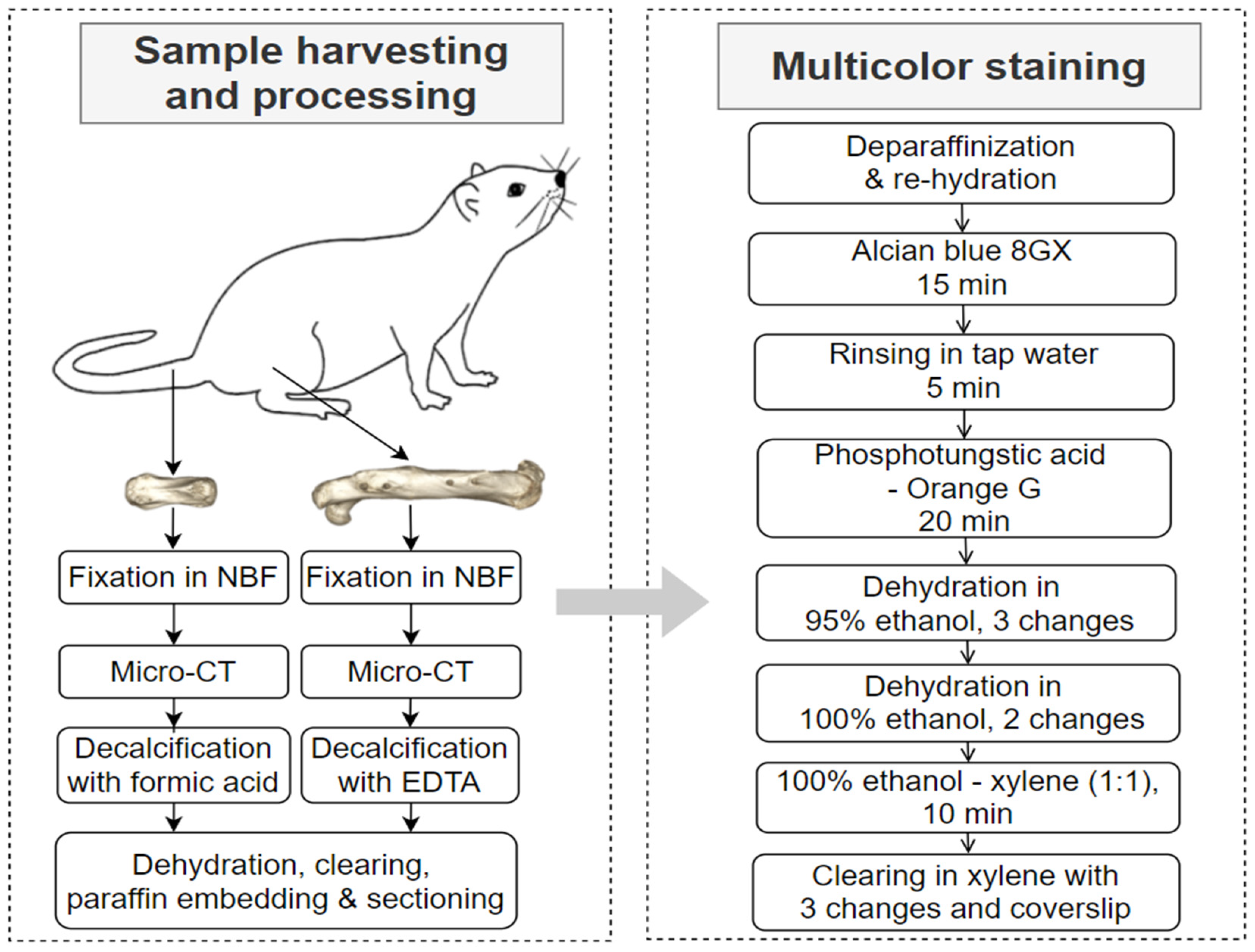 Bioengineering 09 00488 g001