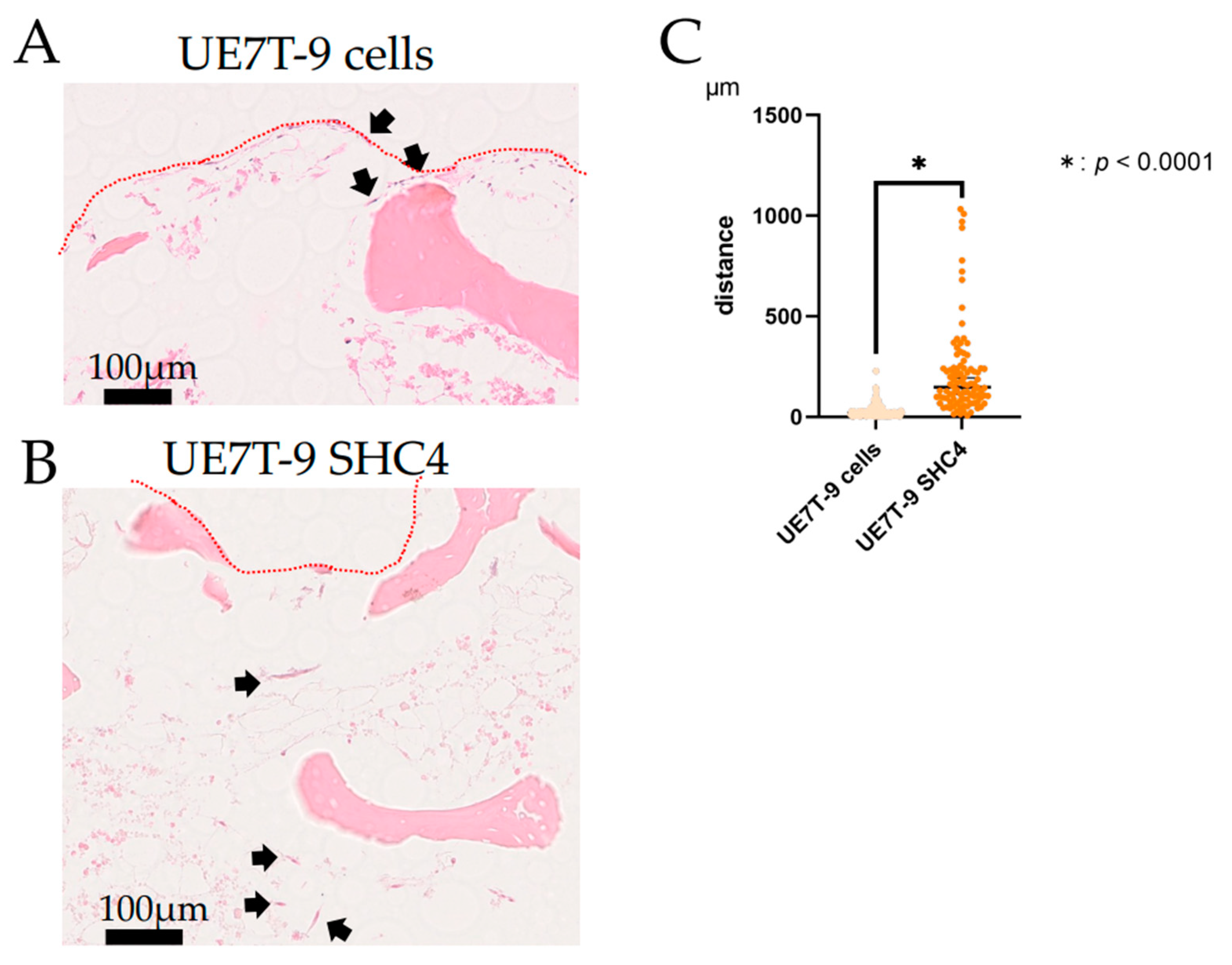 Bioengineering 09 00490 g002