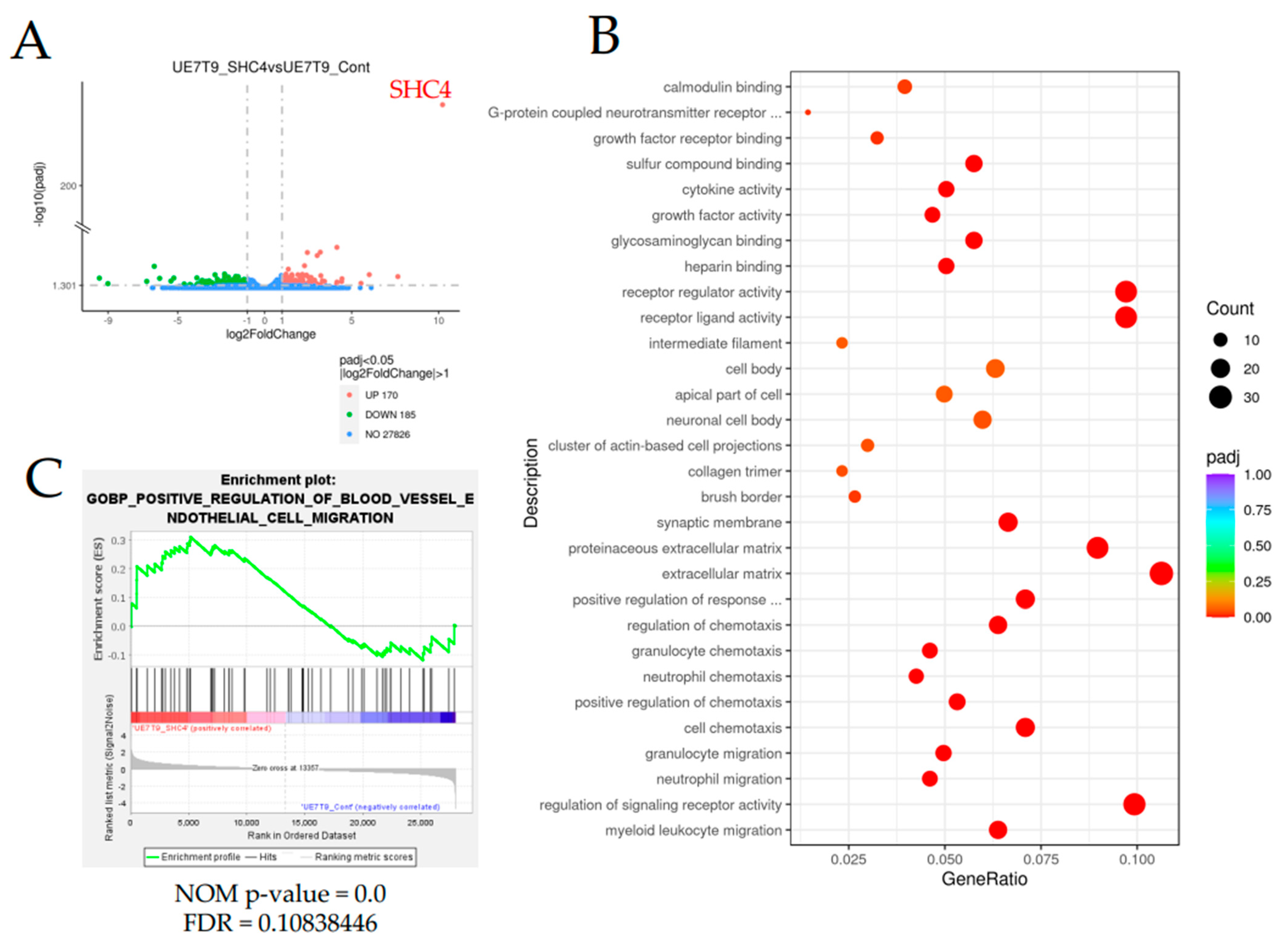 Bioengineering 09 00490 g004