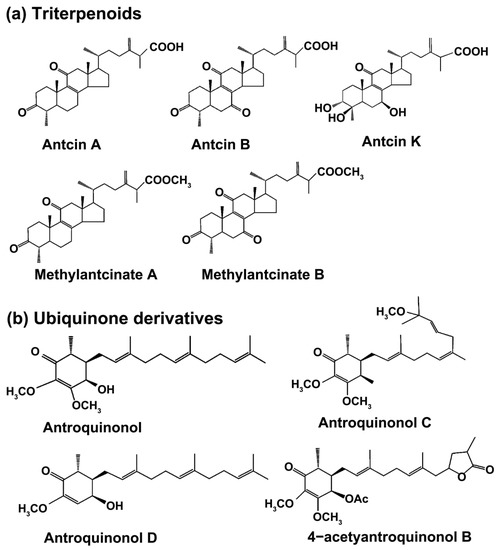Review of Bioactivity, Isolation, and Identification of