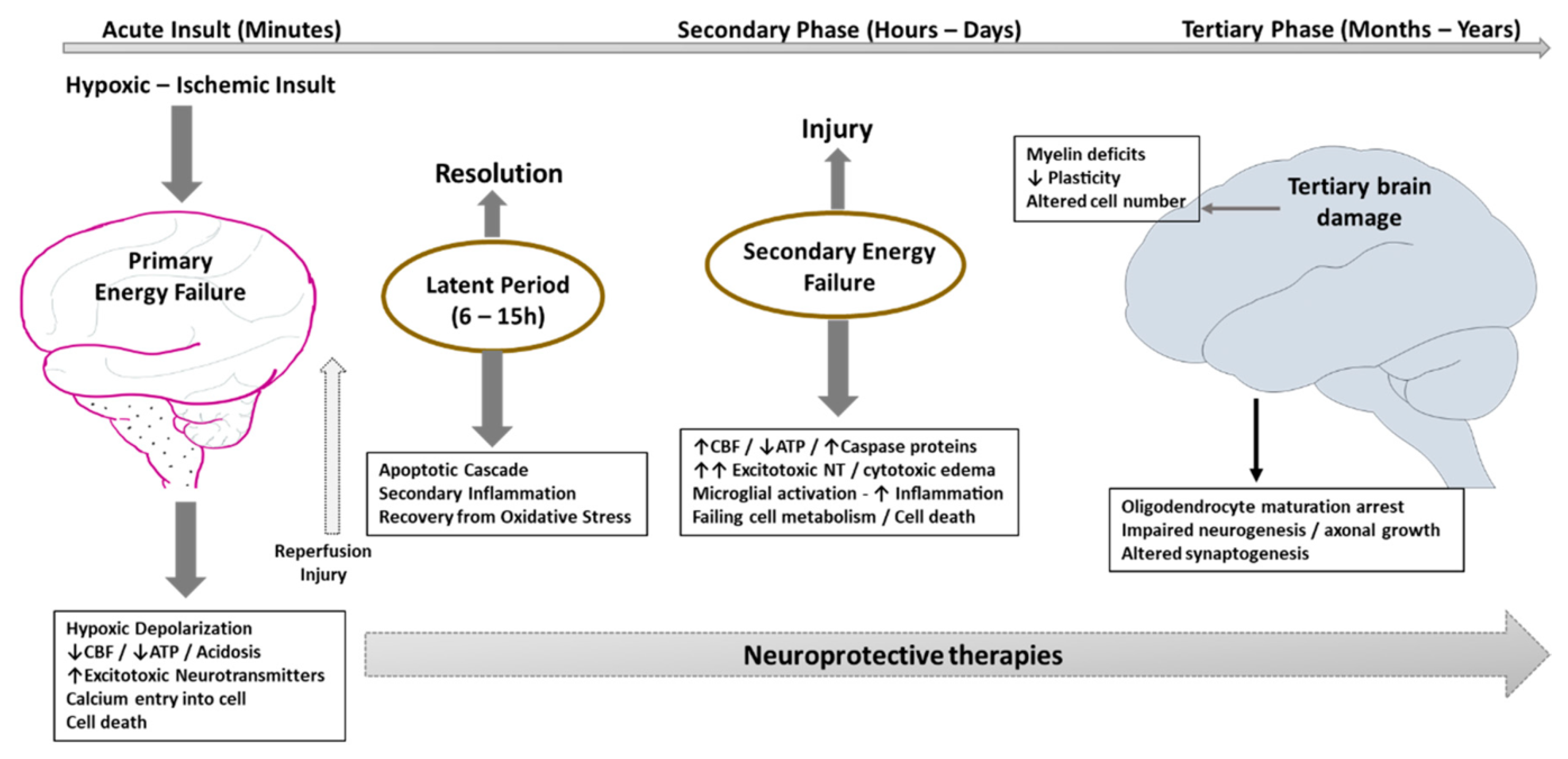 Bioengineering 09 00498 g001