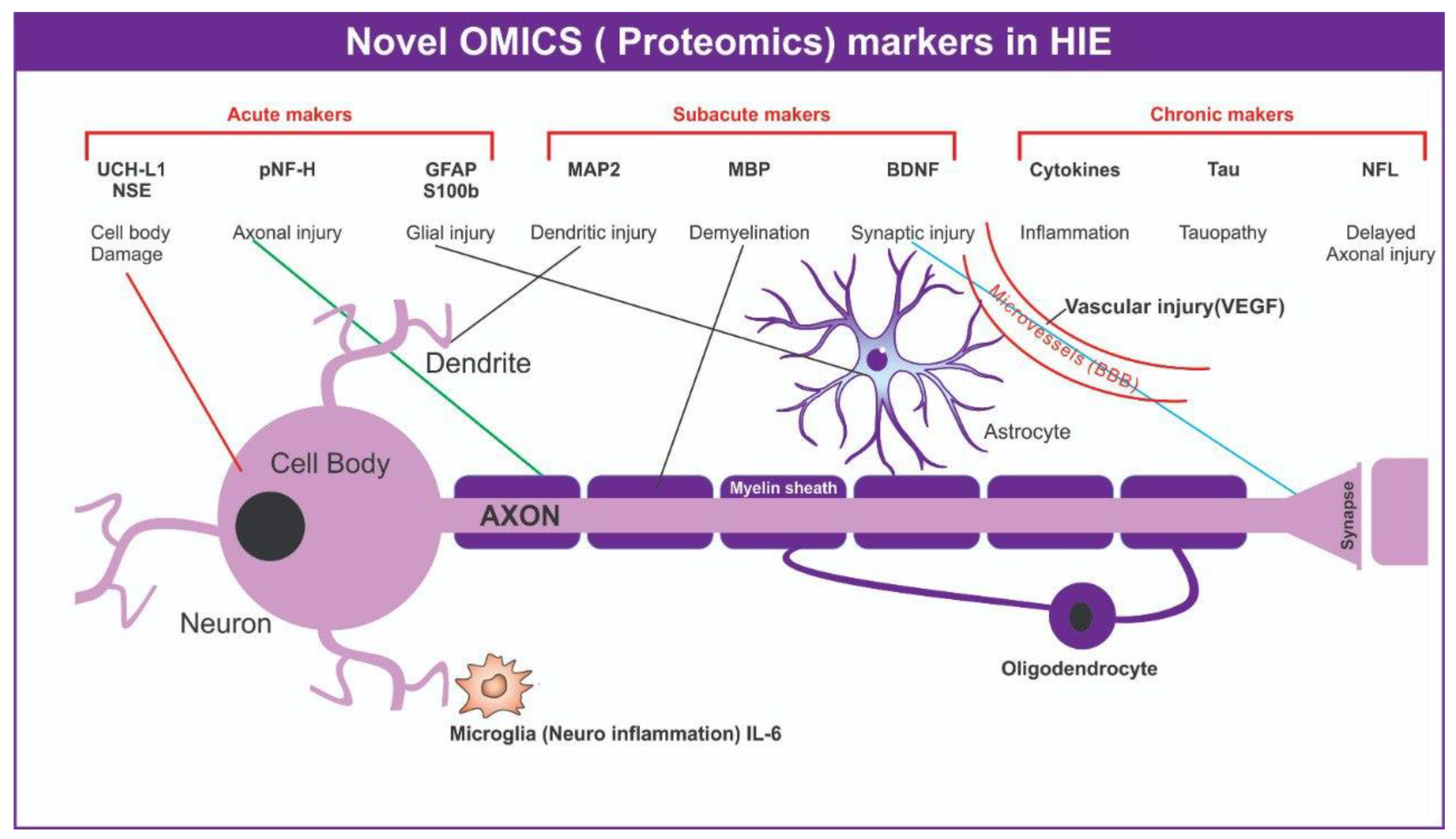 Bioengineering 09 00498 g003
