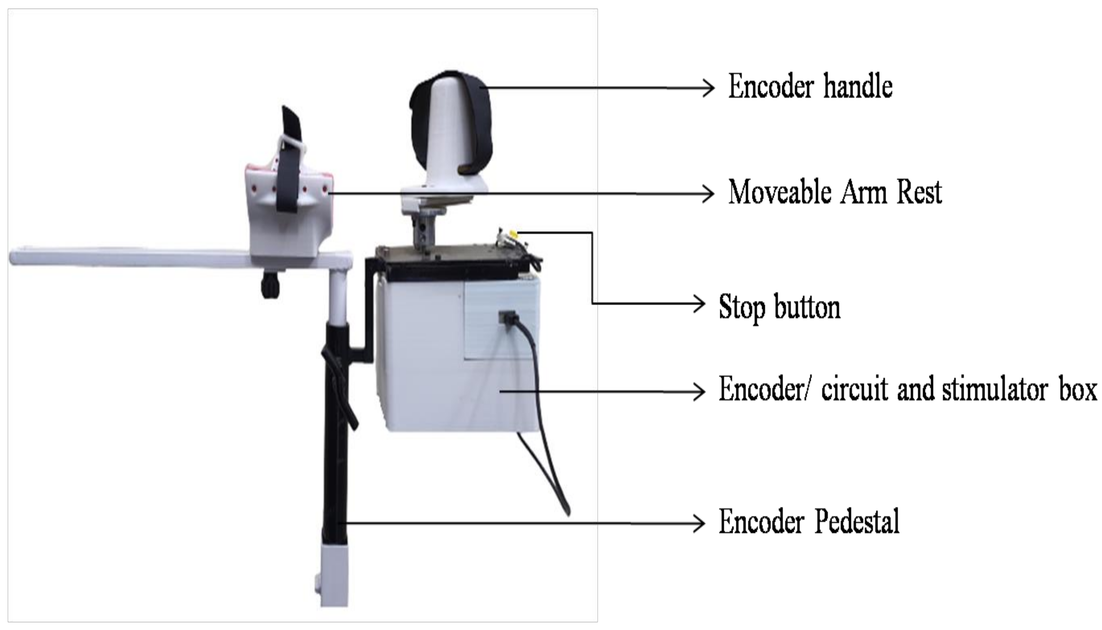 Bioengineering 09 00501 g001