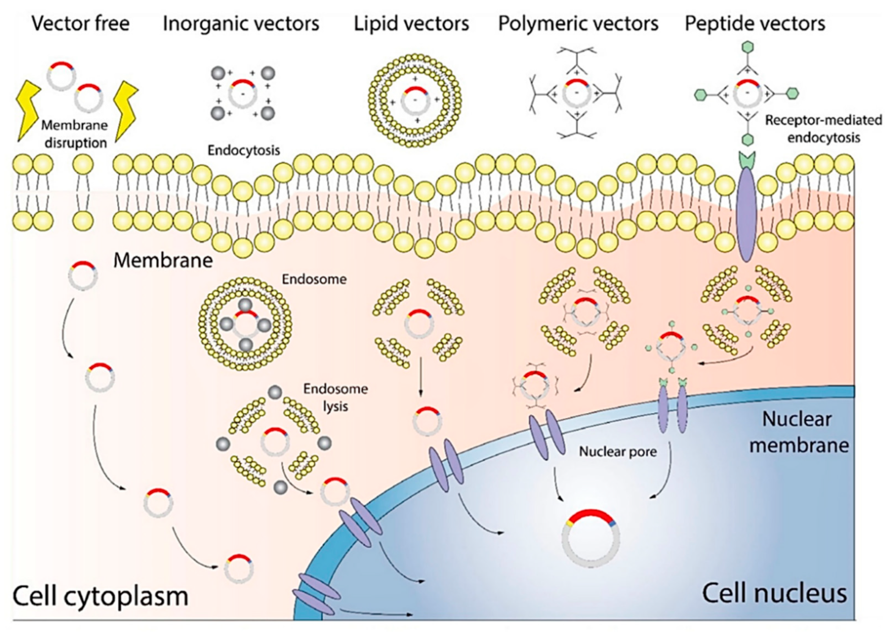 Bioengineering 09 00502 g002