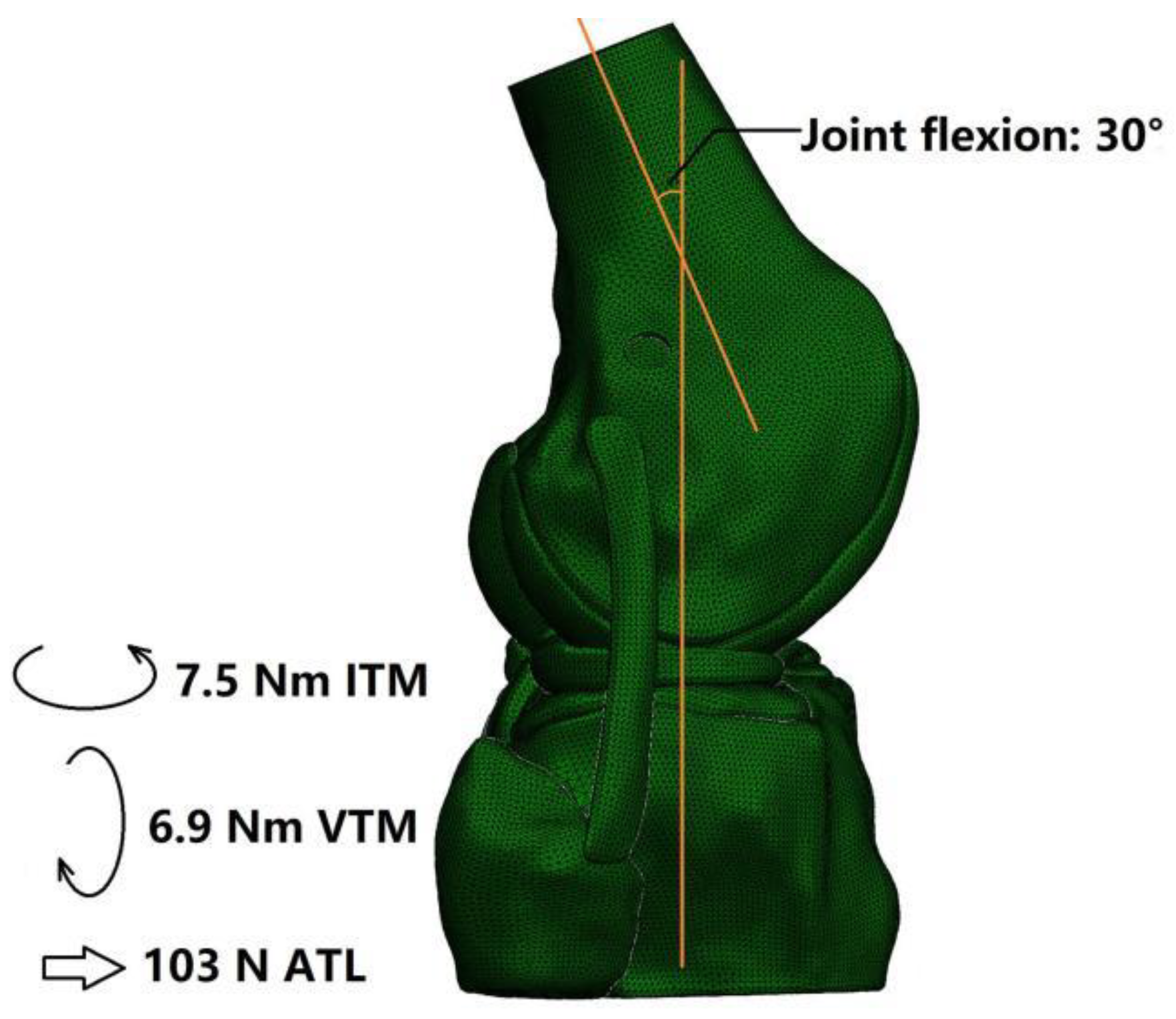 Bioengineering 09 00507 g003