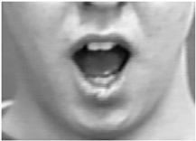 Bioengineering 09 00510 i023