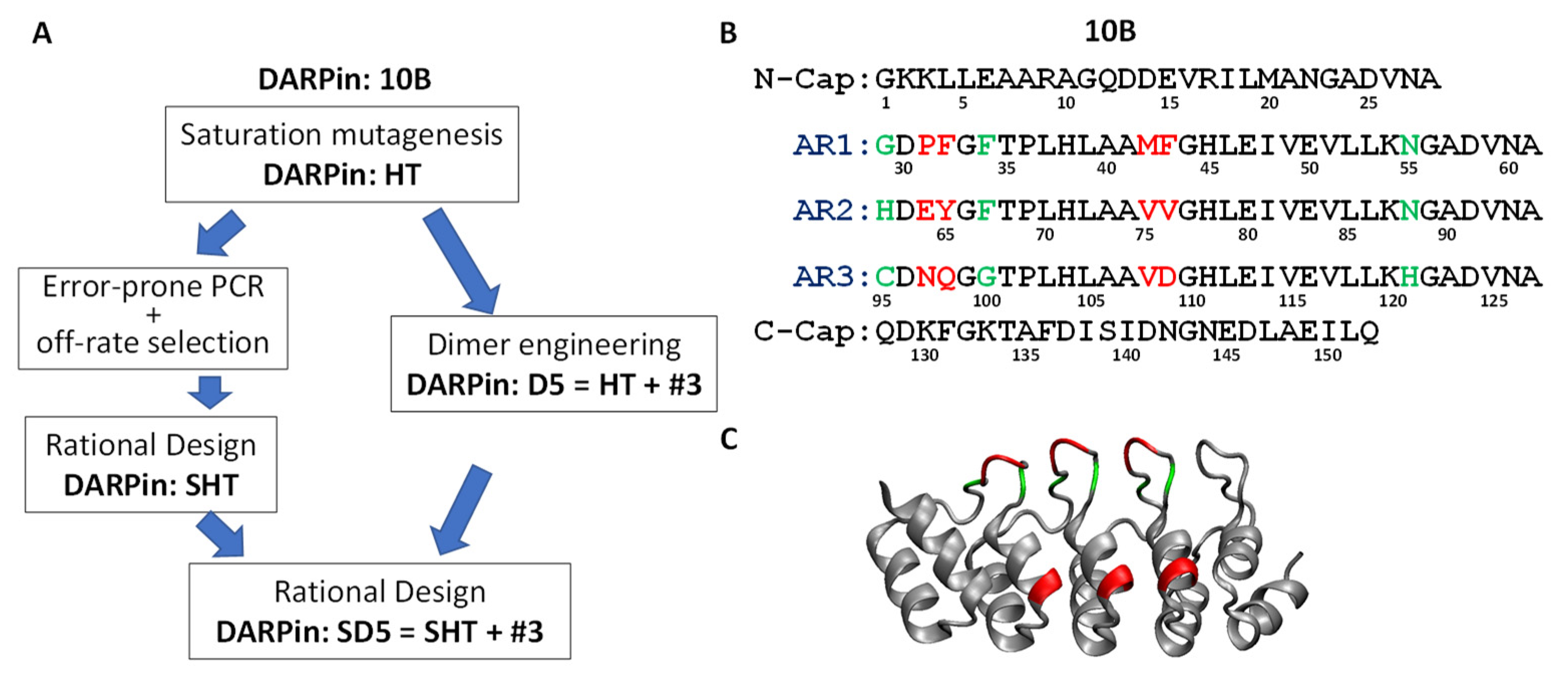 Bioengineering 09 00511 g002
