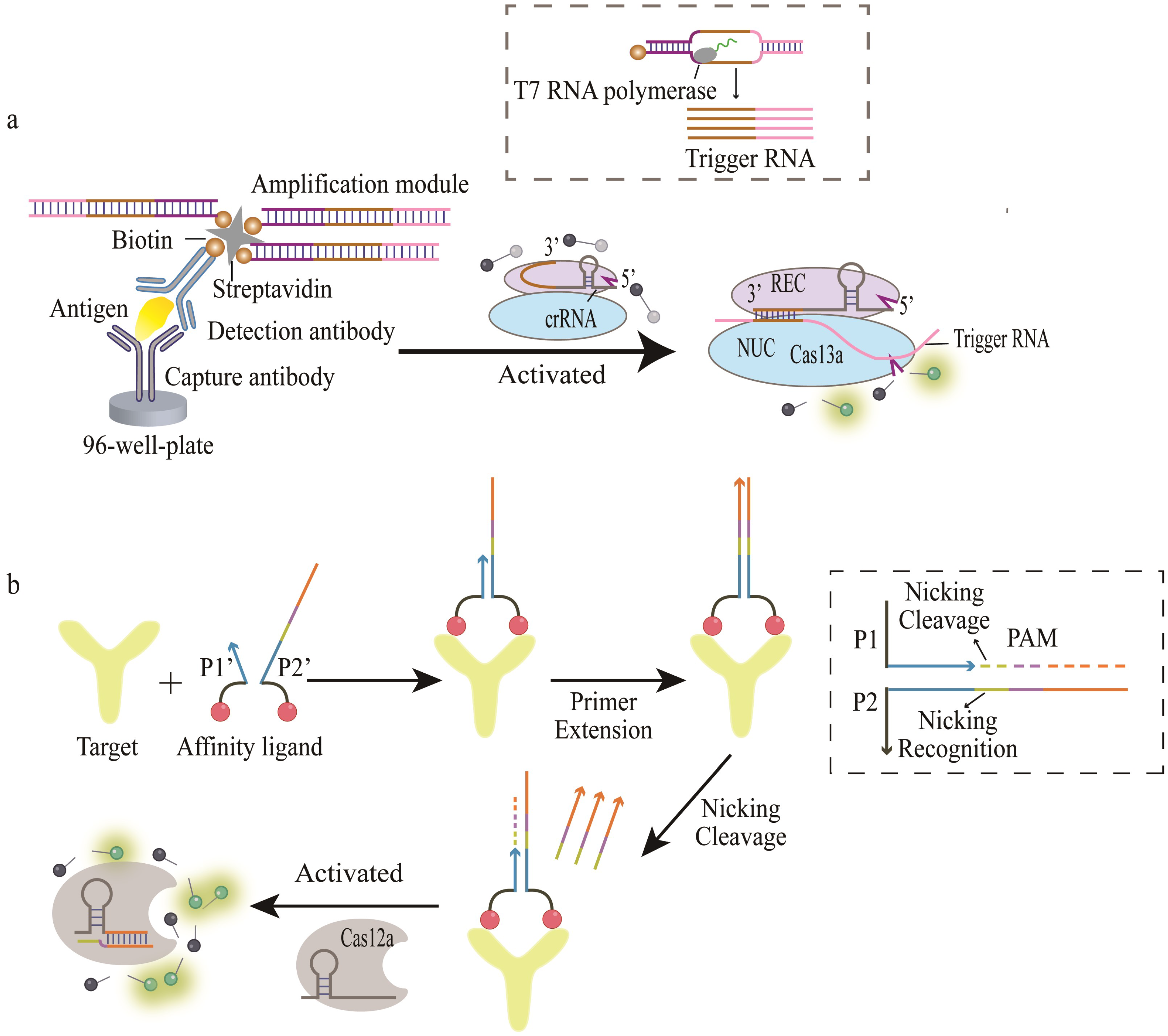 Bioengineering 09 00512 g001 Bioengineering 09 00512 g001