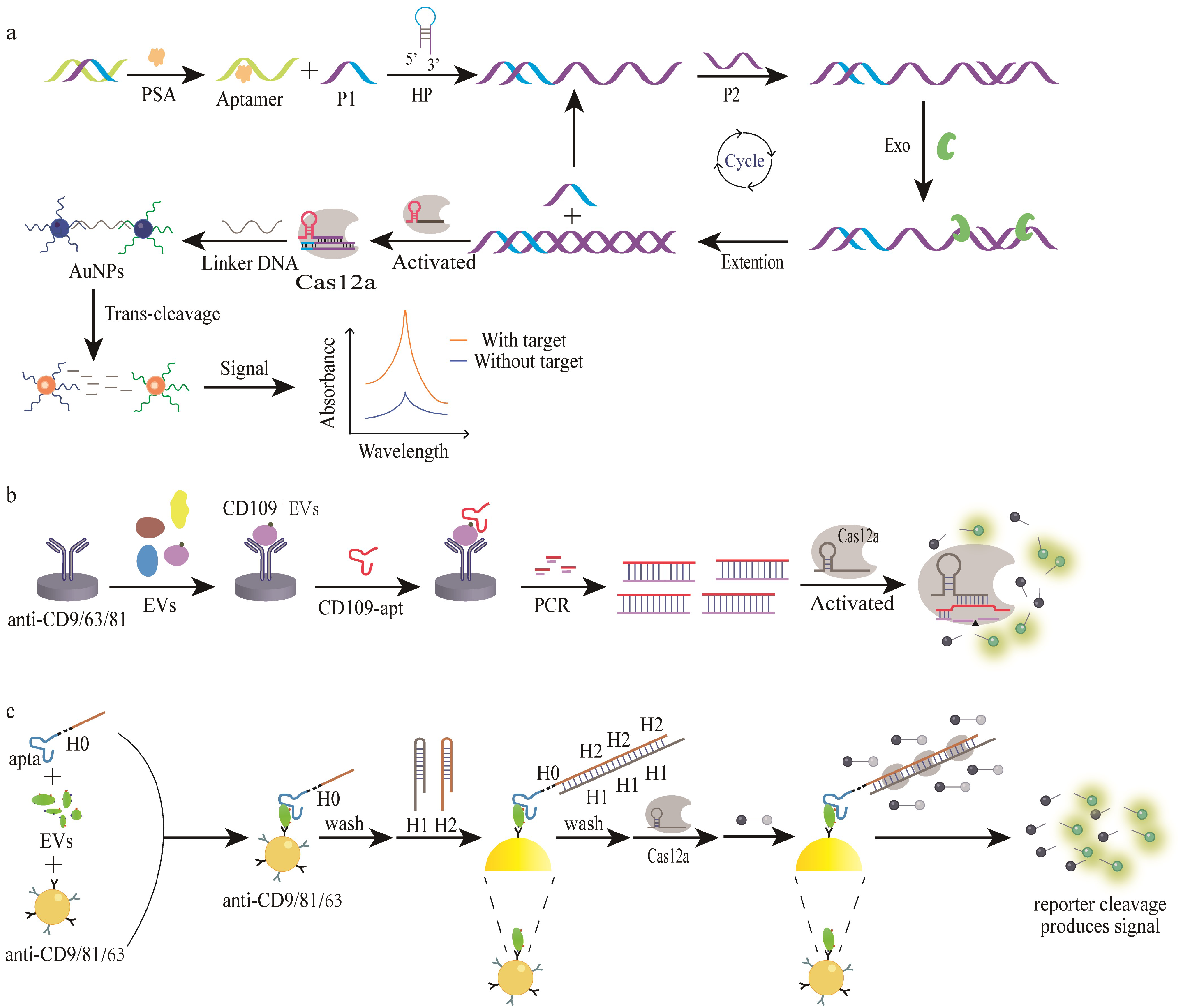 Bioengineering 09 00512 g002 Bioengineering 09 00512 g002