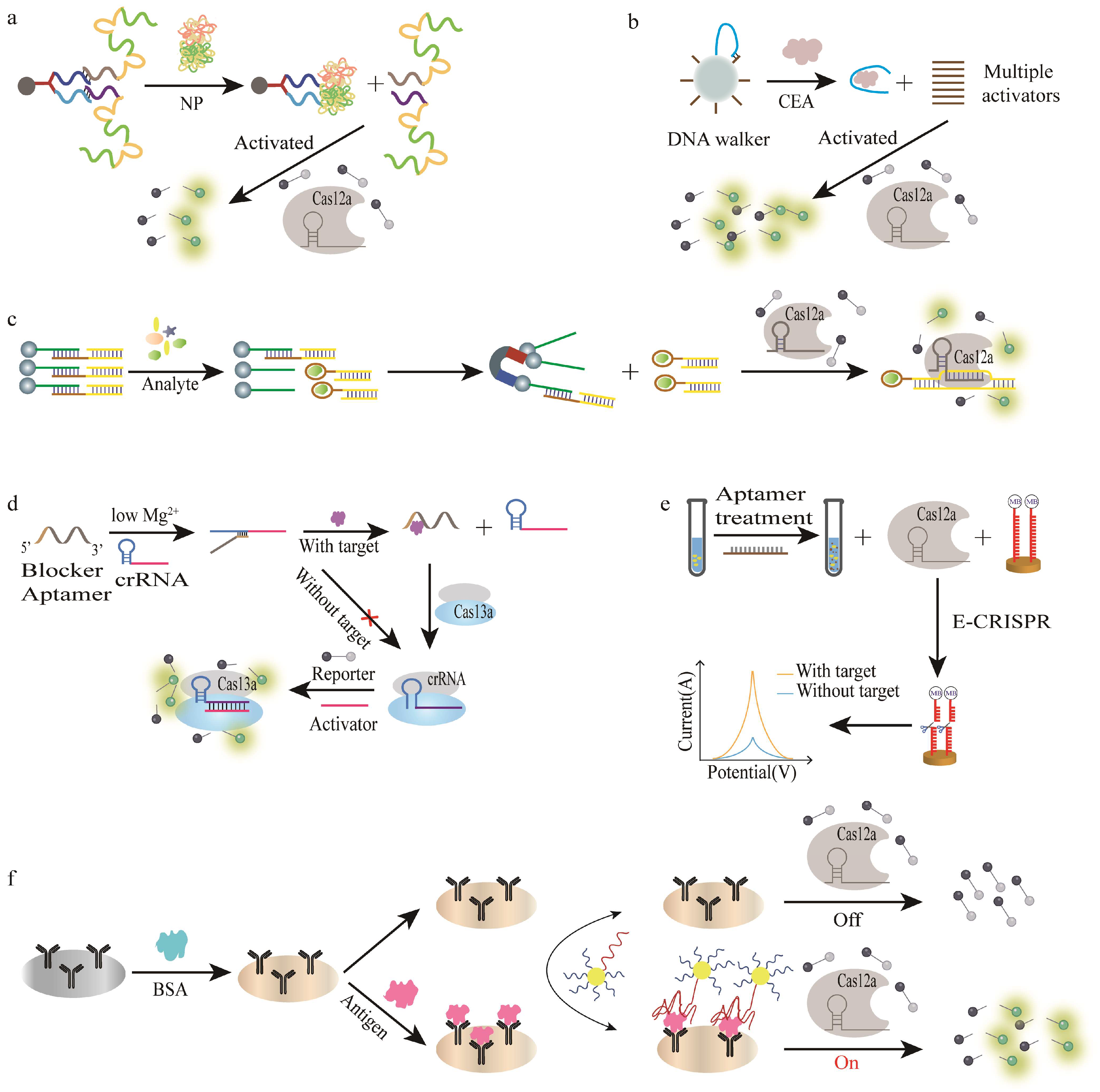 Bioengineering 09 00512 g003 Bioengineering 09 00512 g003