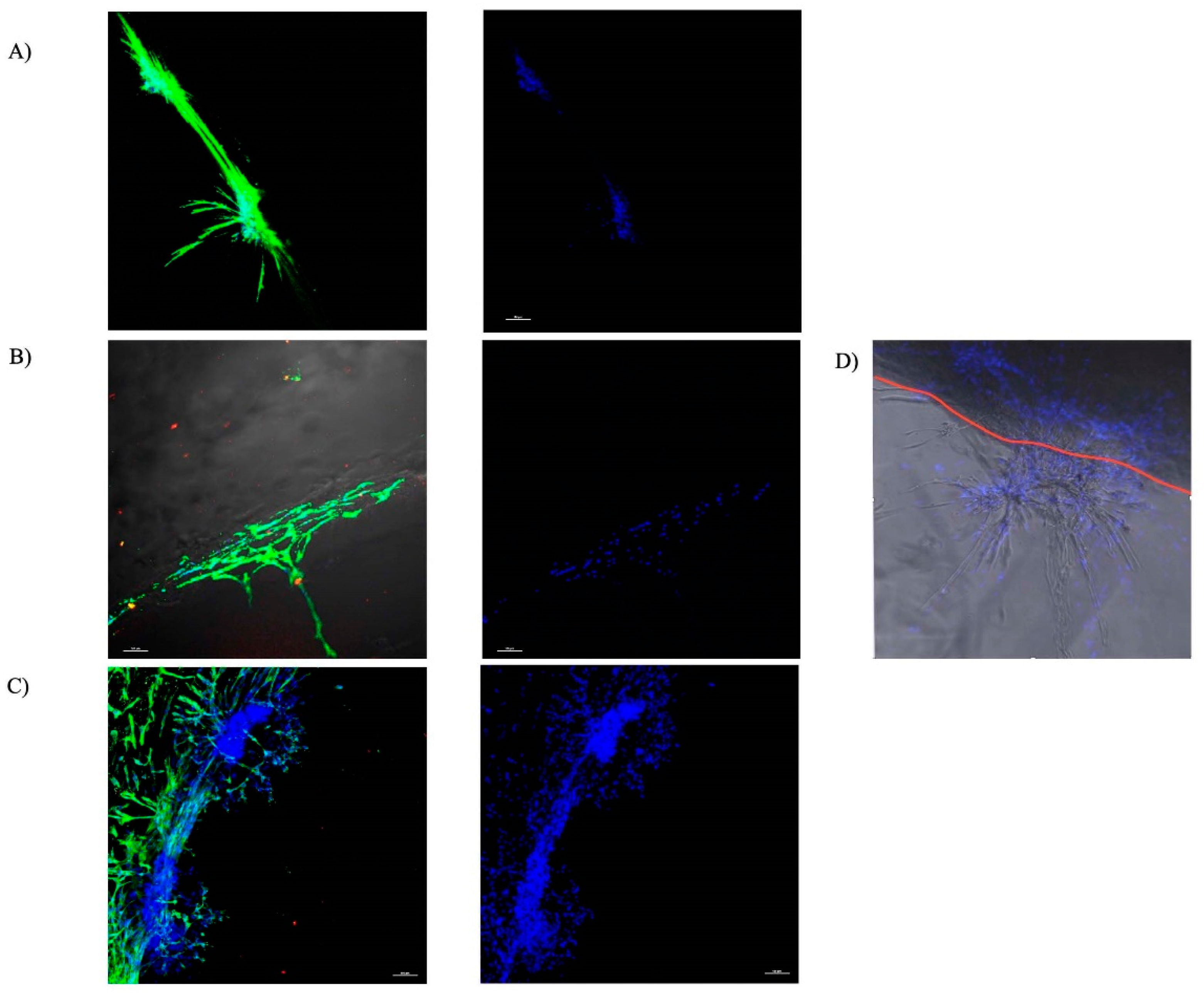 Bioengineering 09 00513 g002 Bioengineering 09 00513 g002