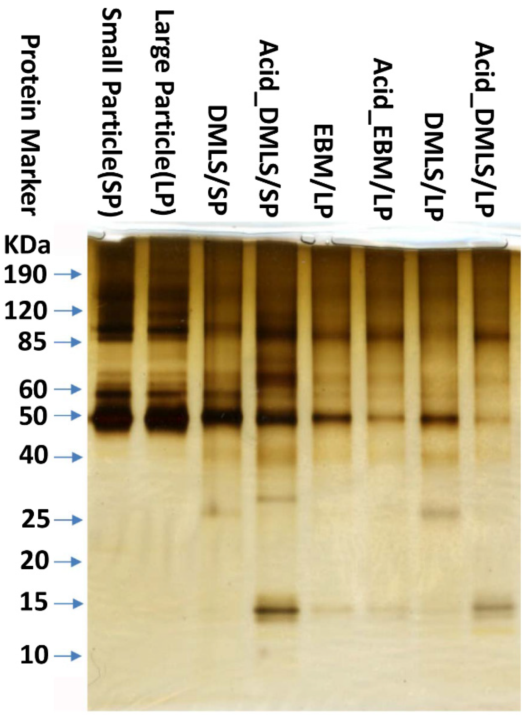 Bioengineering 09 00514 g004