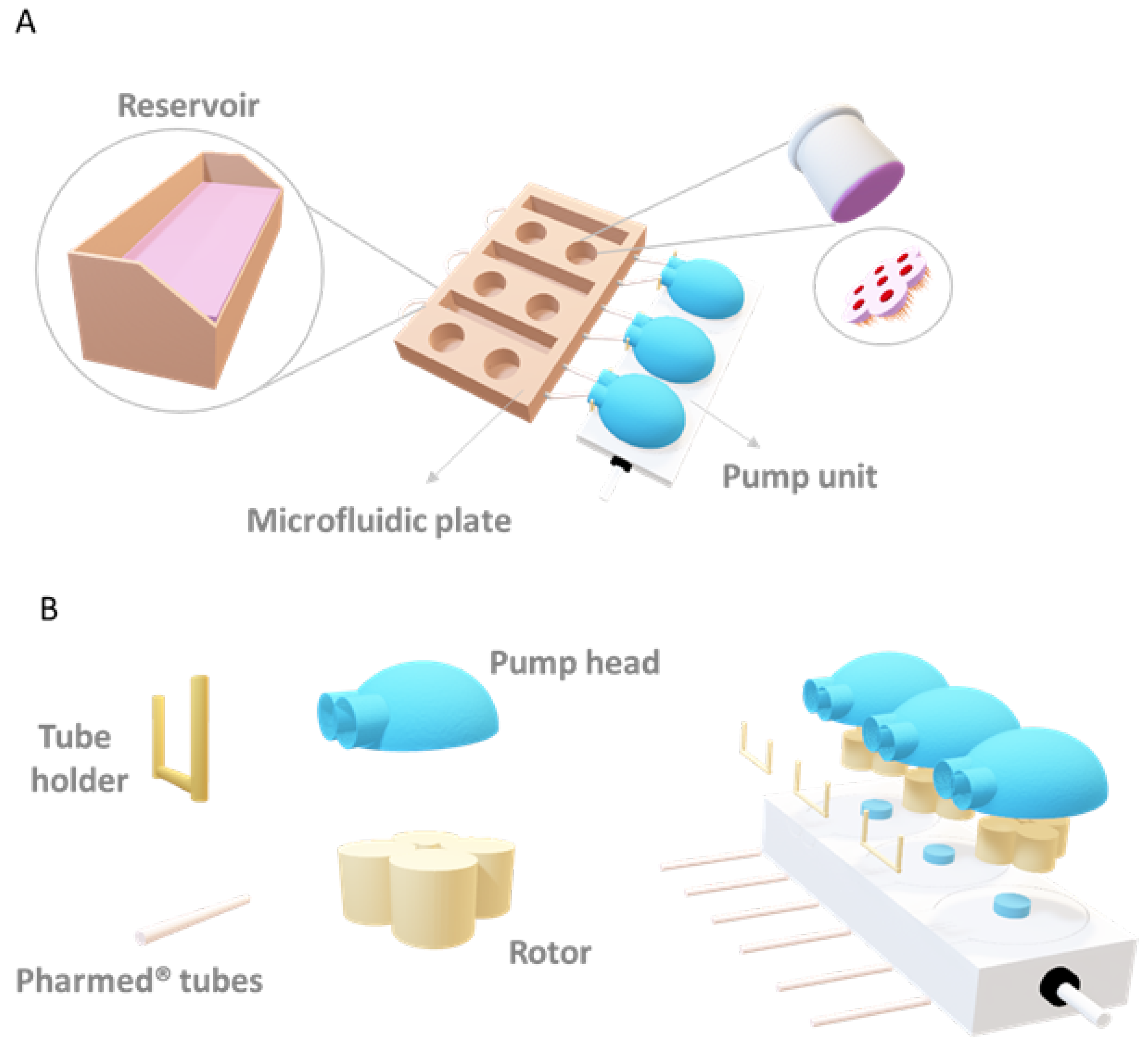 Bioengineering 09 00516 g002