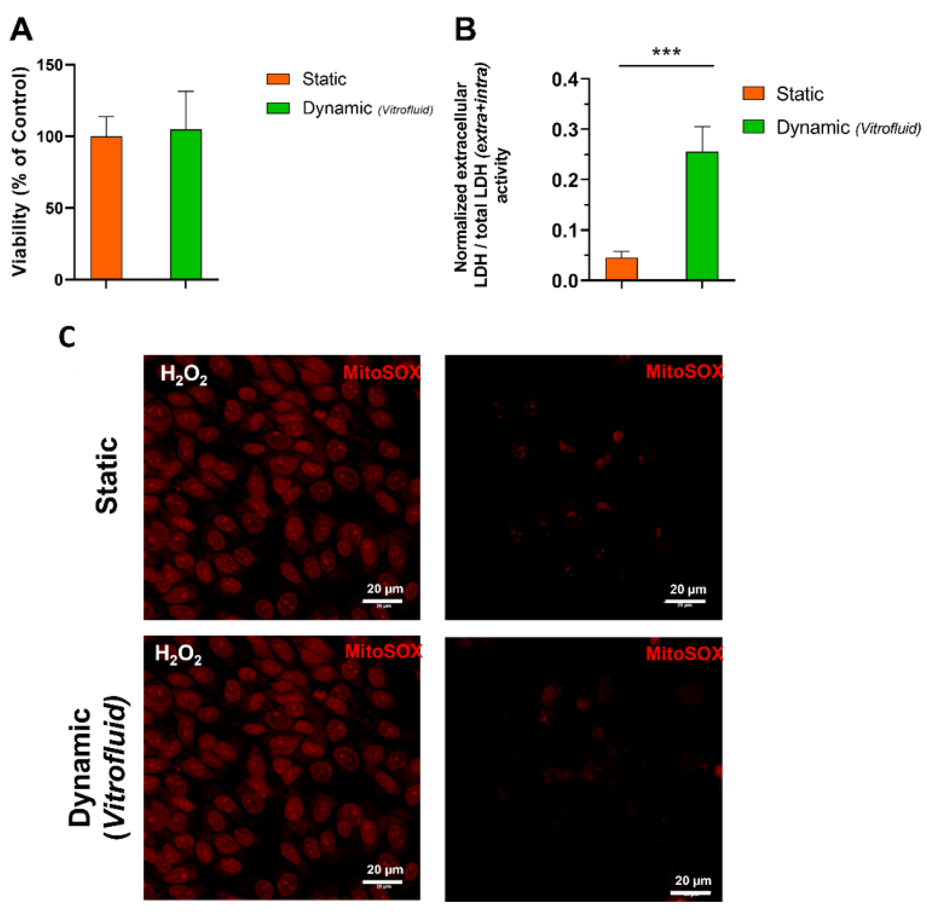 Bioengineering 09 00516 g003