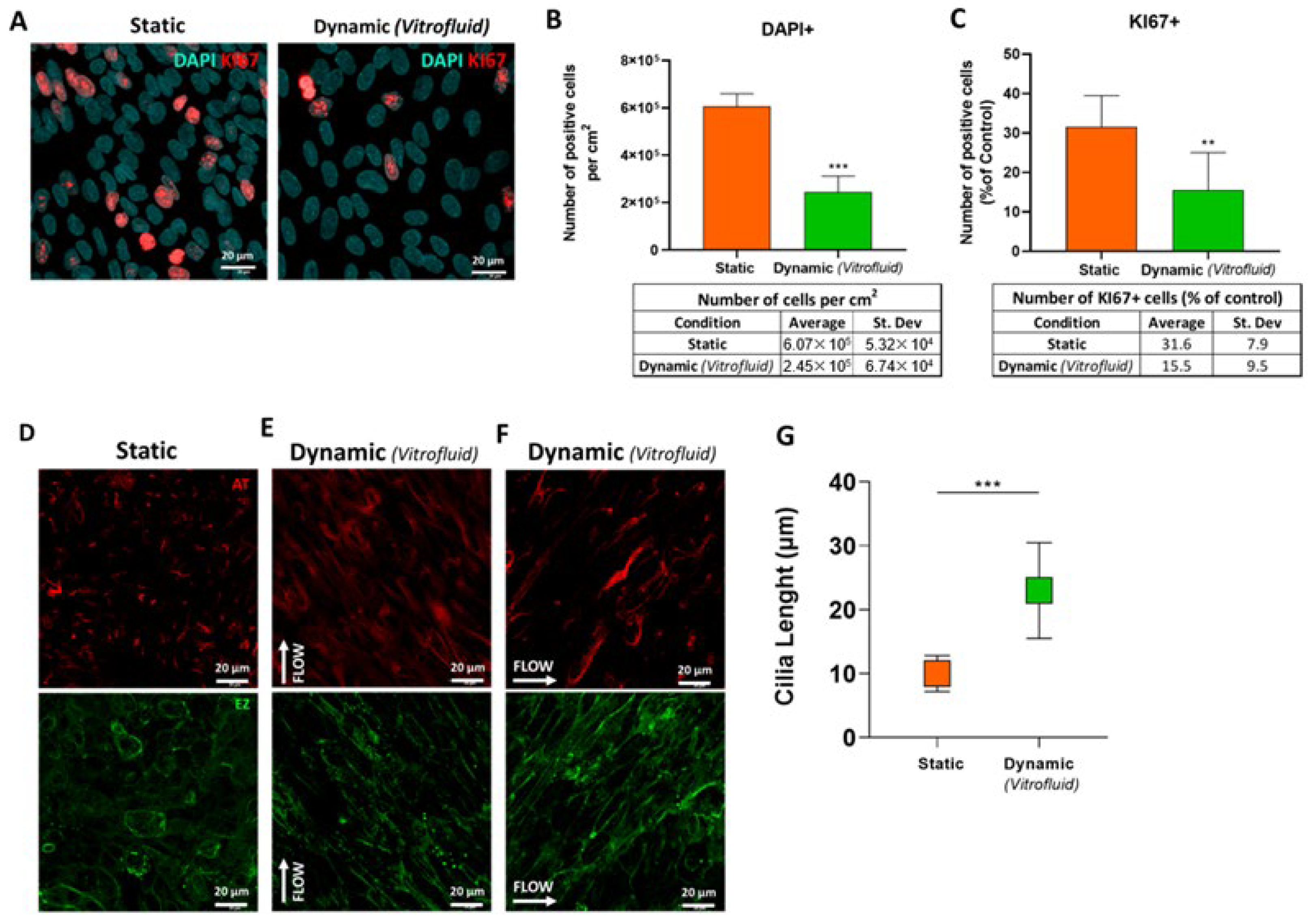 Bioengineering 09 00516 g007