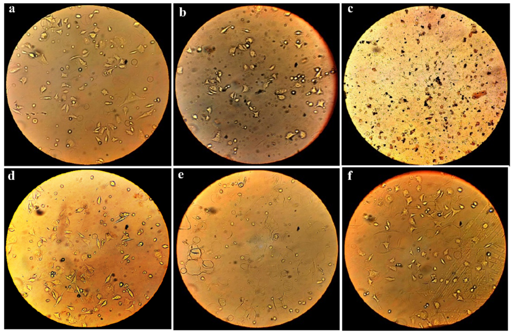 Bioengineering 09 00518 g007