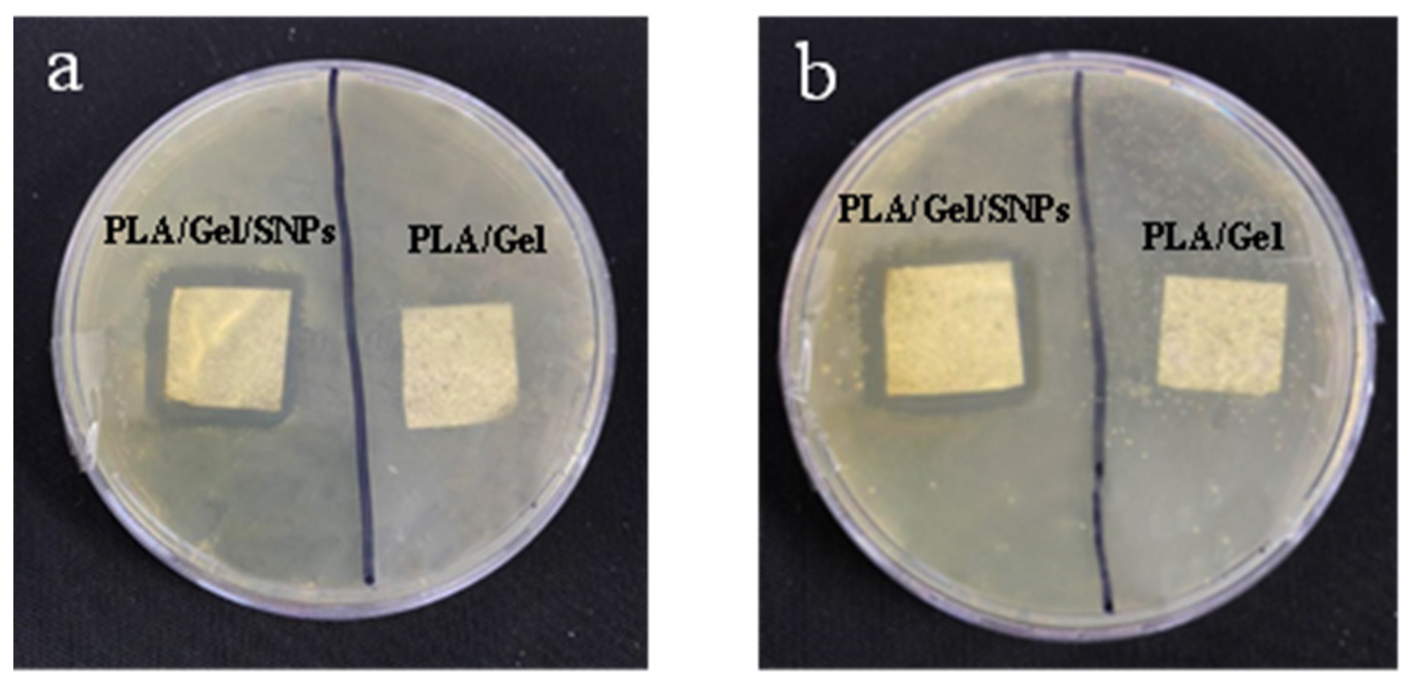 Bioengineering 09 00518 g008