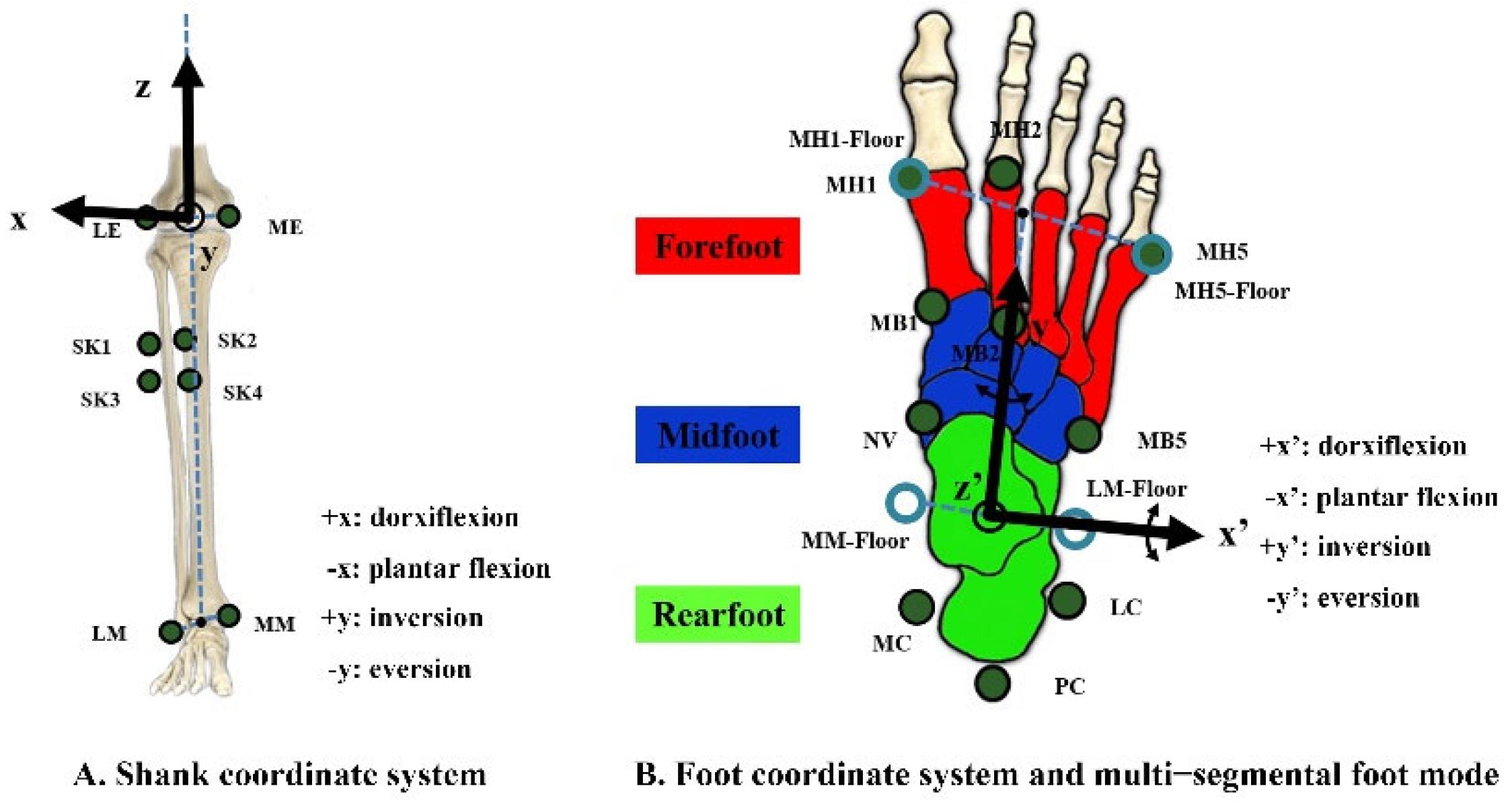 Bioengineering 09 00520 g002