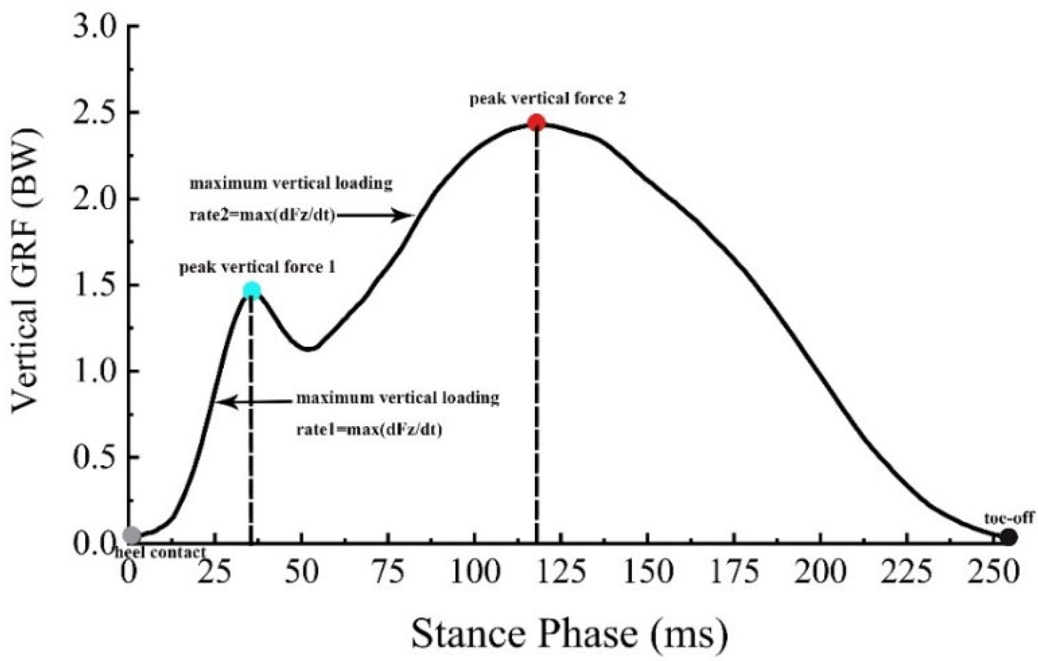 Bioengineering 09 00520 g003