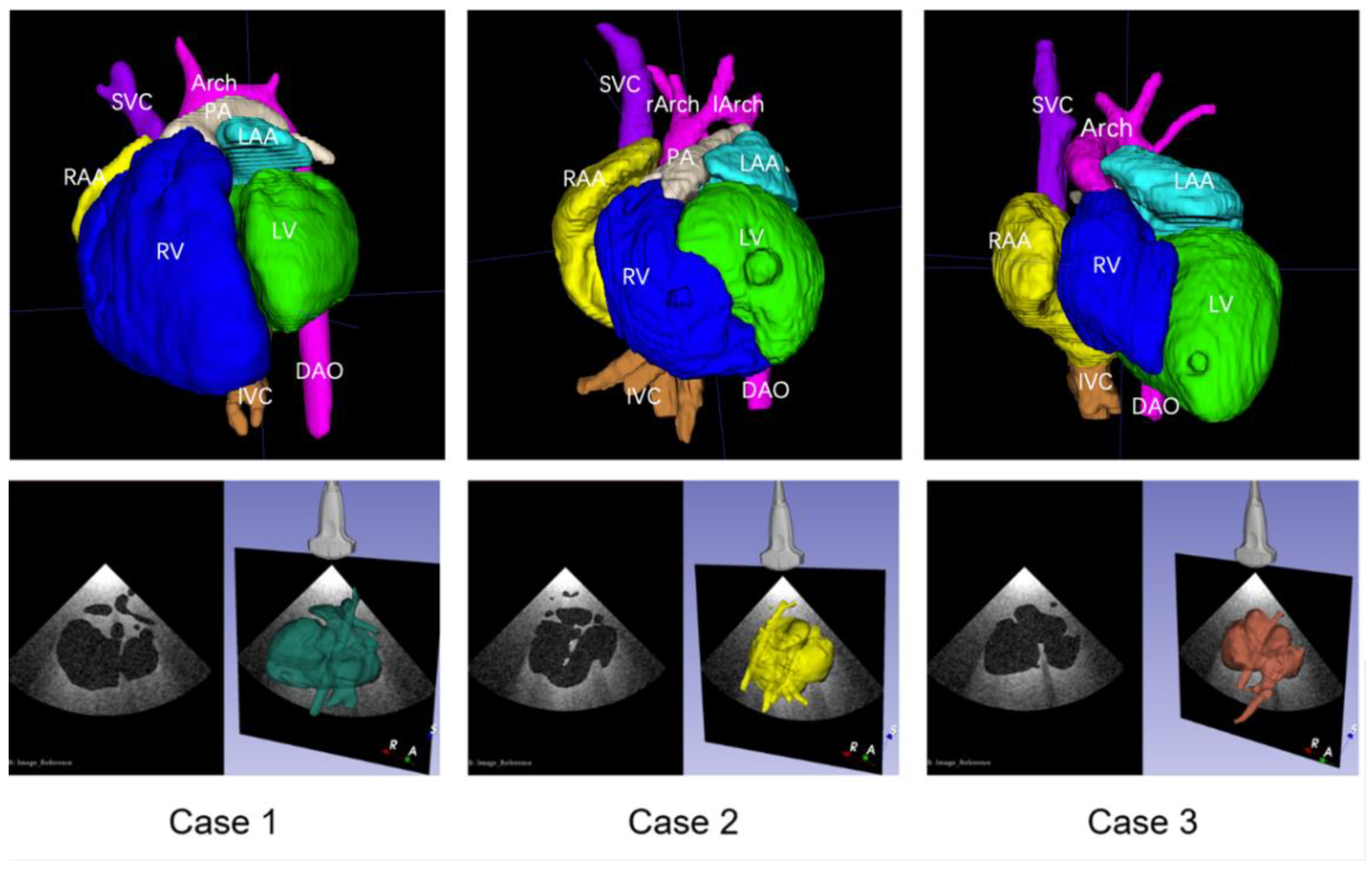 Bioengineering 09 00524 g002