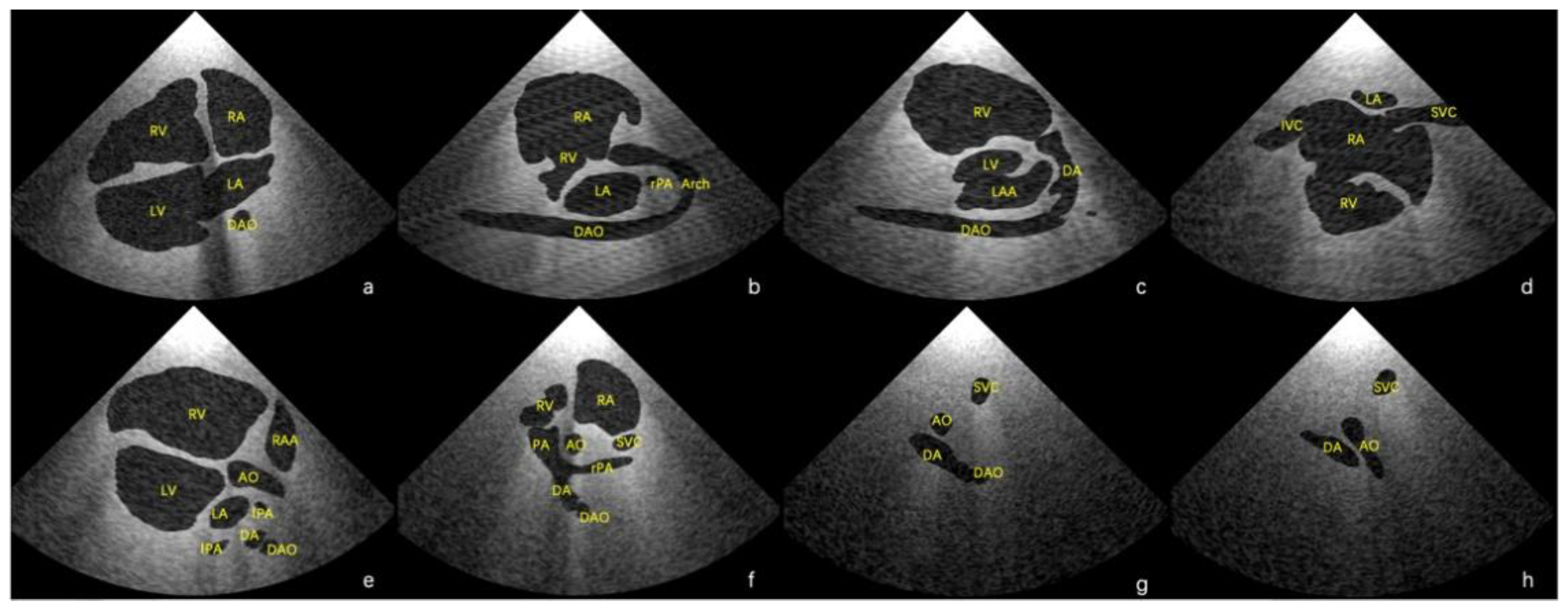 Bioengineering 09 00524 g003