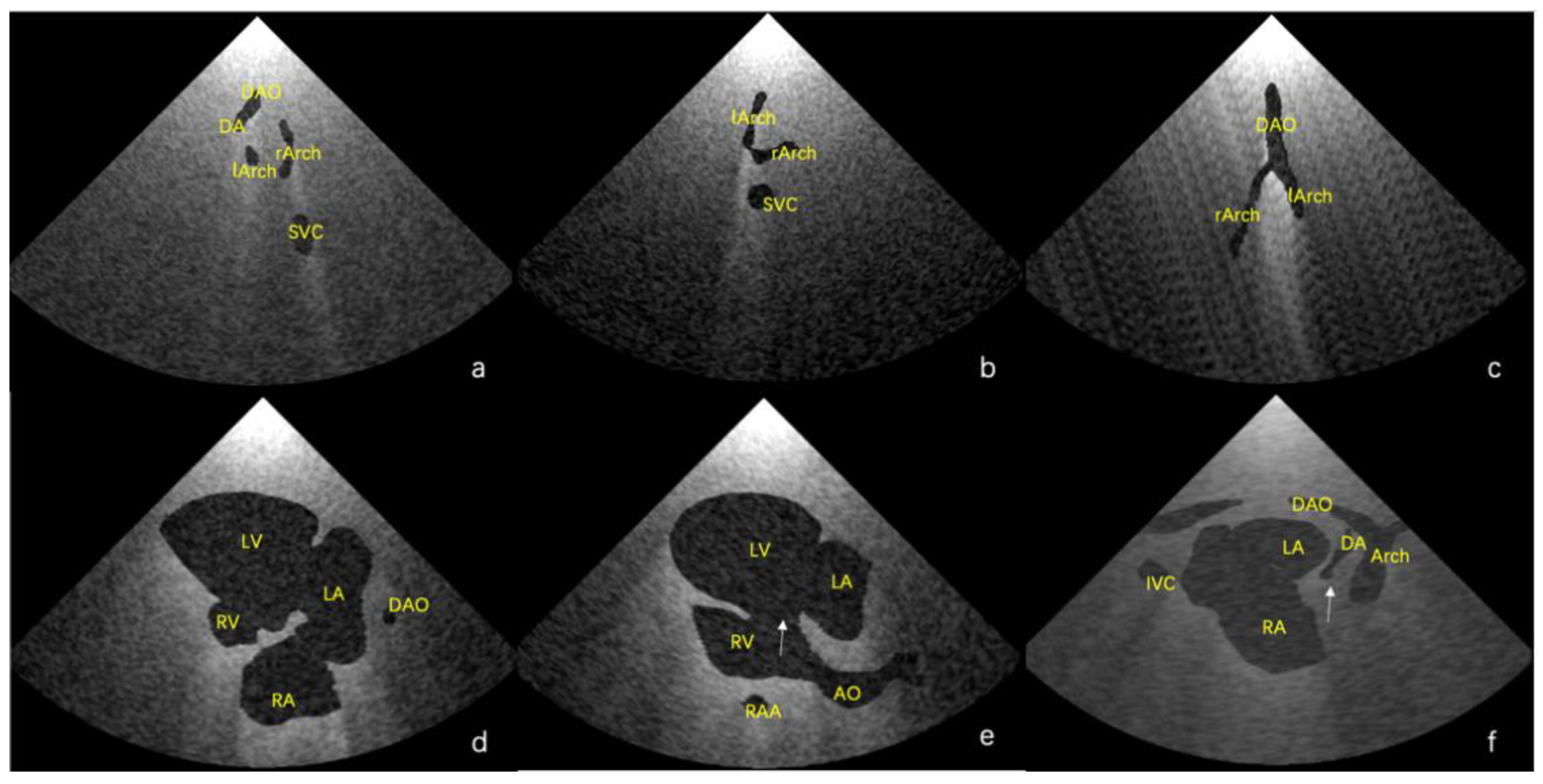 Bioengineering 09 00524 g004