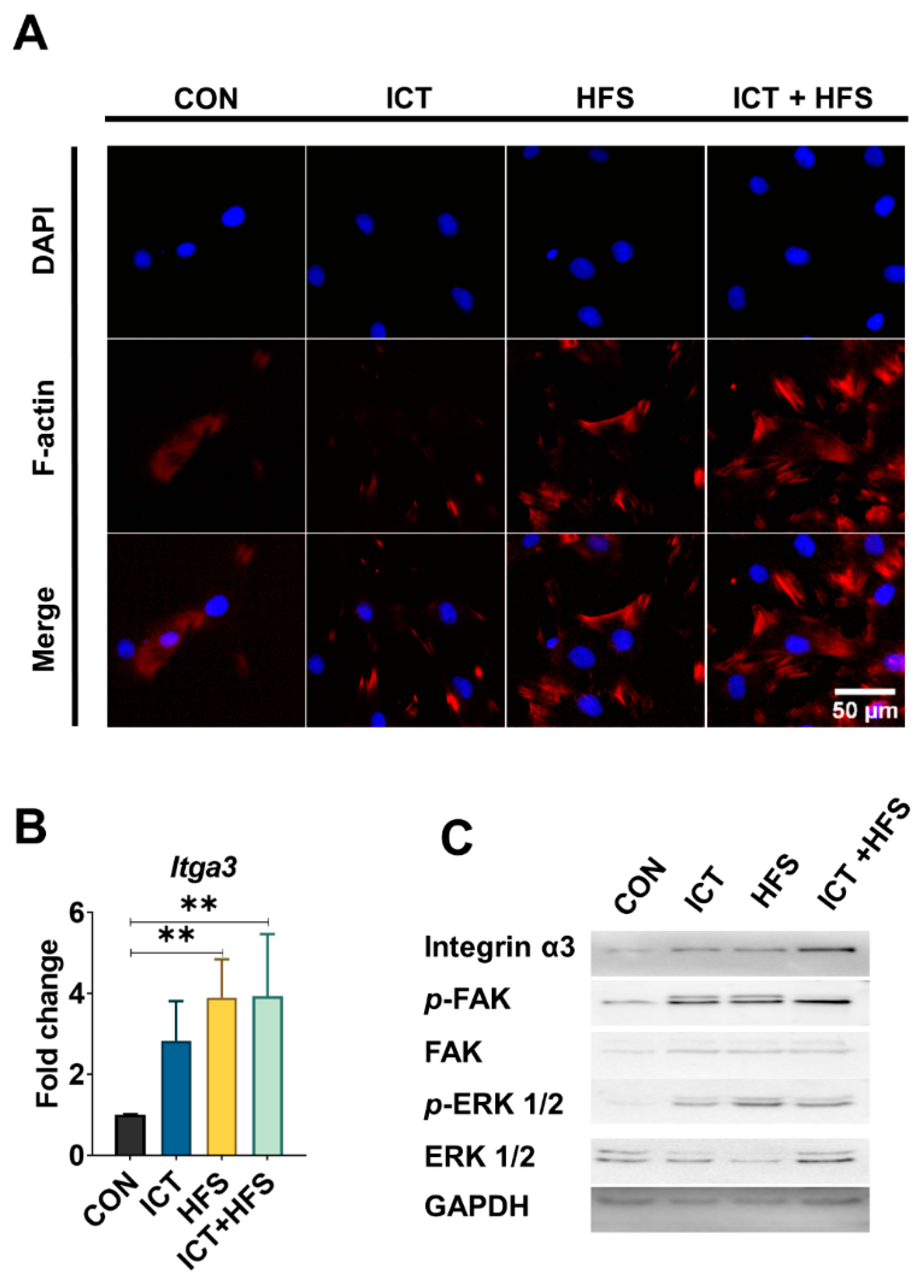 Bioengineering 09 00525 g002 Bioengineering 09 00525 g002