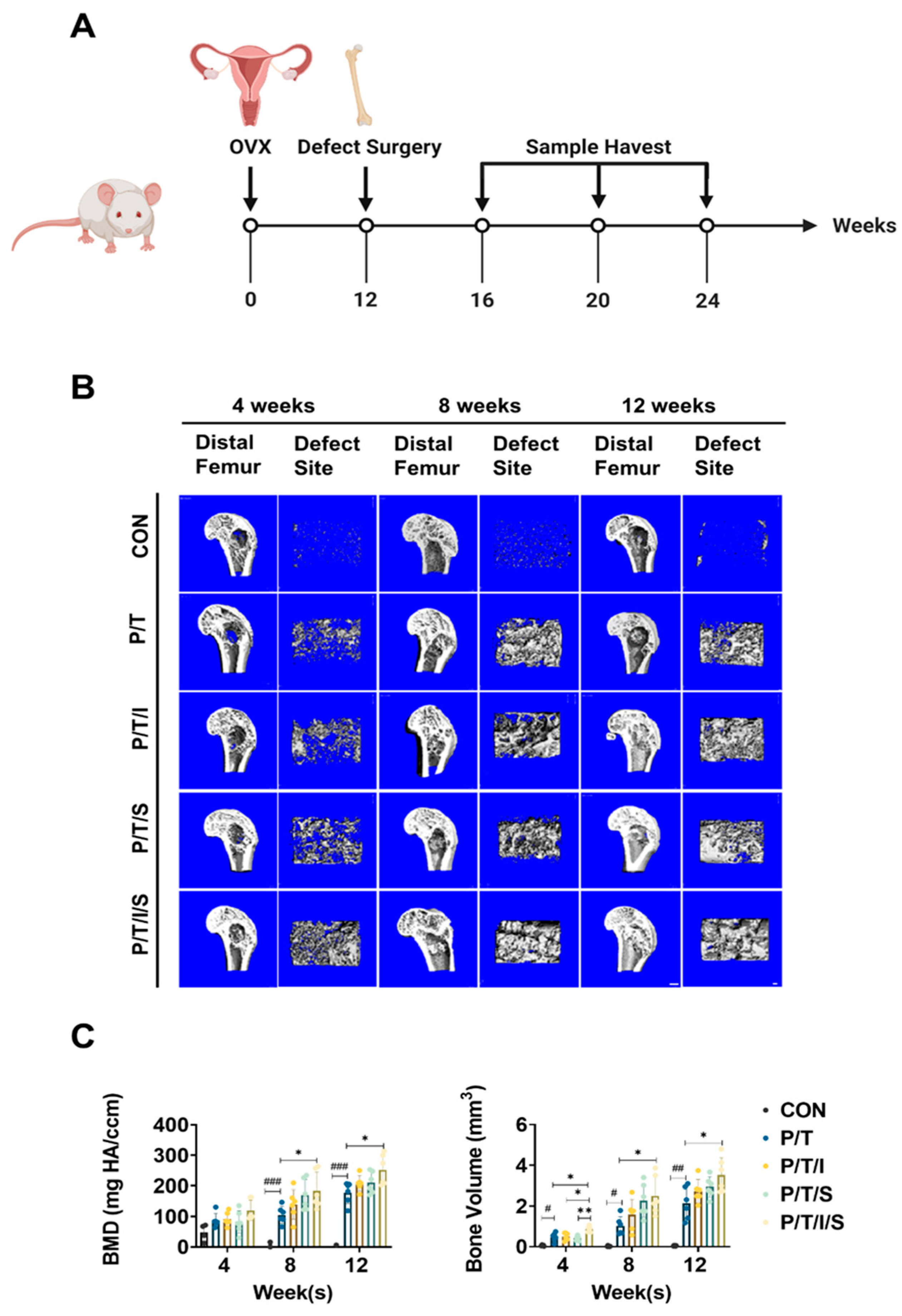 Bioengineering 09 00525 g004 Bioengineering 09 00525 g004