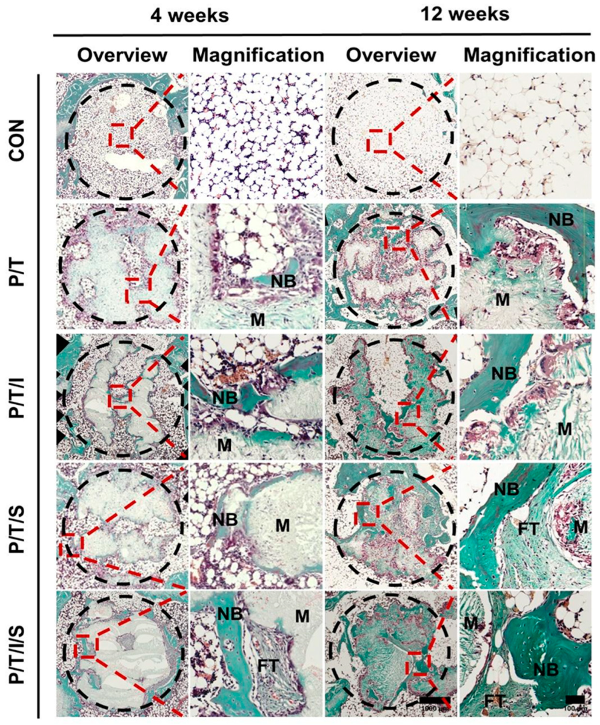 Bioengineering 09 00525 g005 Bioengineering 09 00525 g005