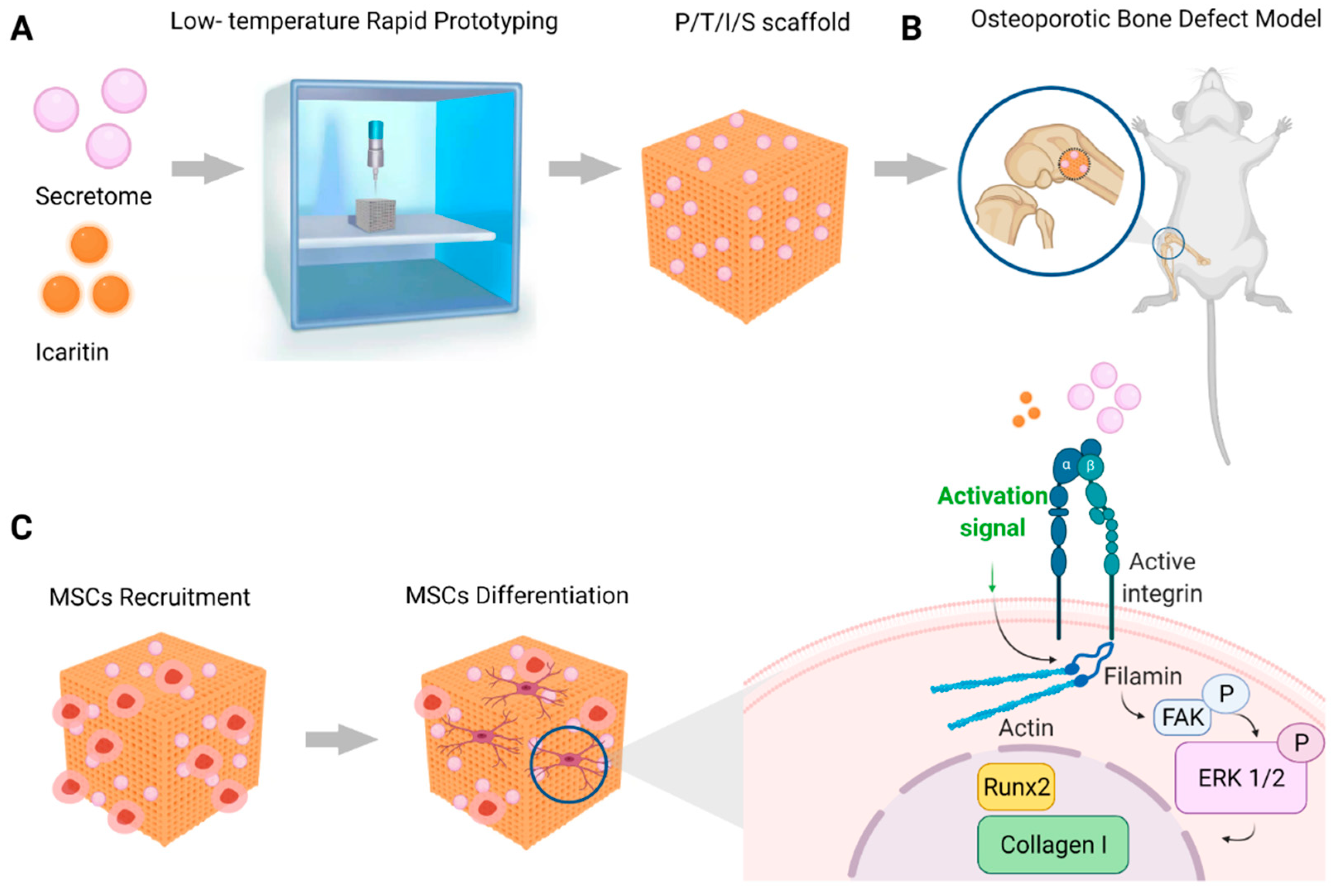Bioengineering 09 00525 sch001 Bioengineering 09 00525 sch001