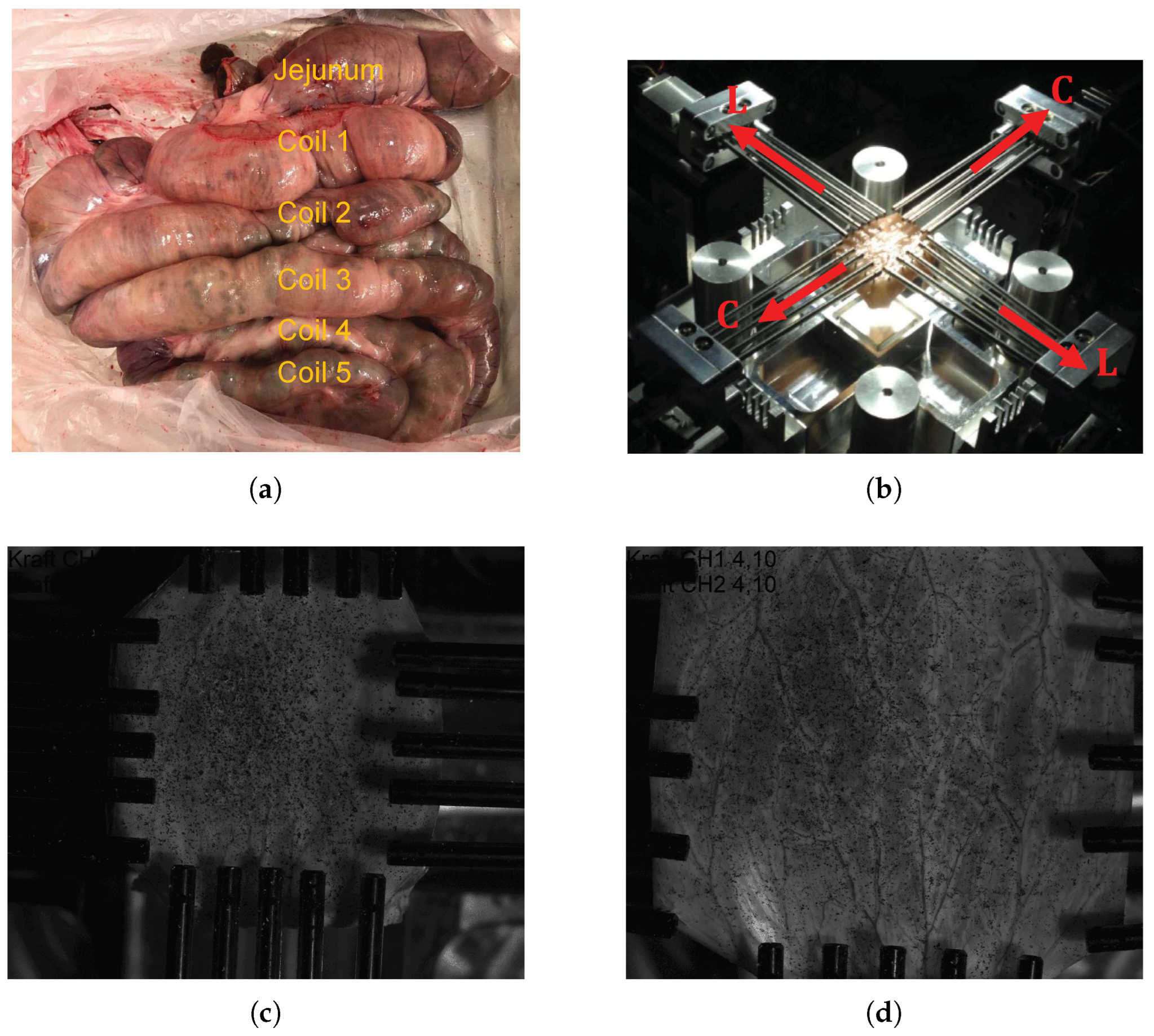 Bioengineering 09 00528 g001 Bioengineering 09 00528 g001