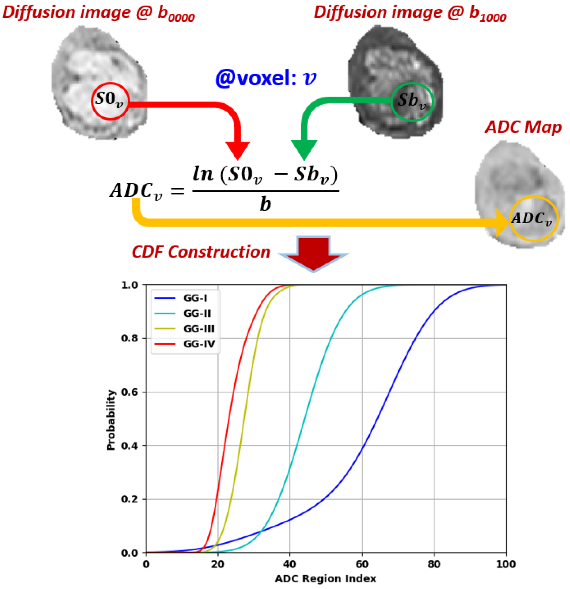 Bioengineering 09 00532 g005