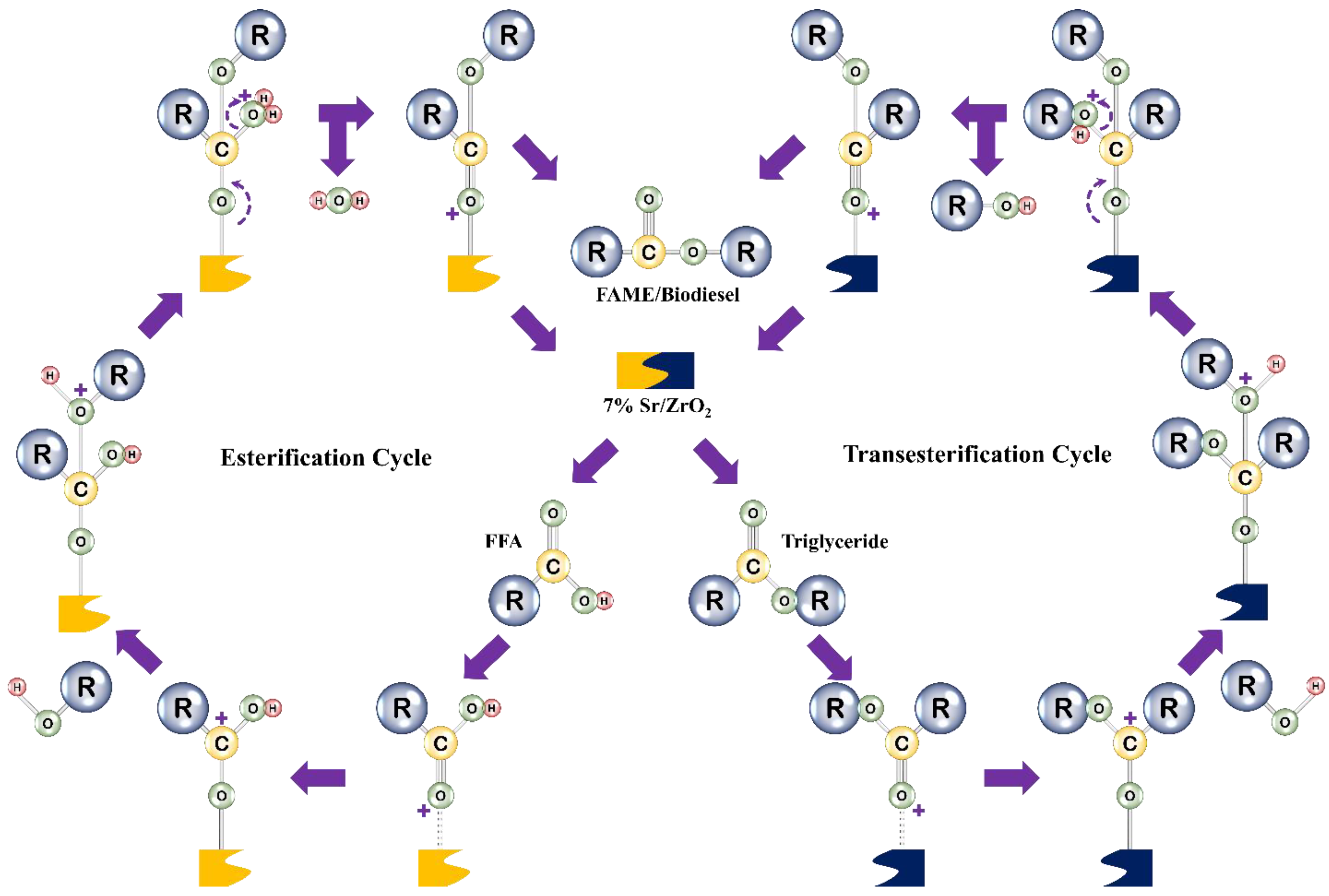 Bioengineering 09 00533 g007 Bioengineering 09 00533 g007