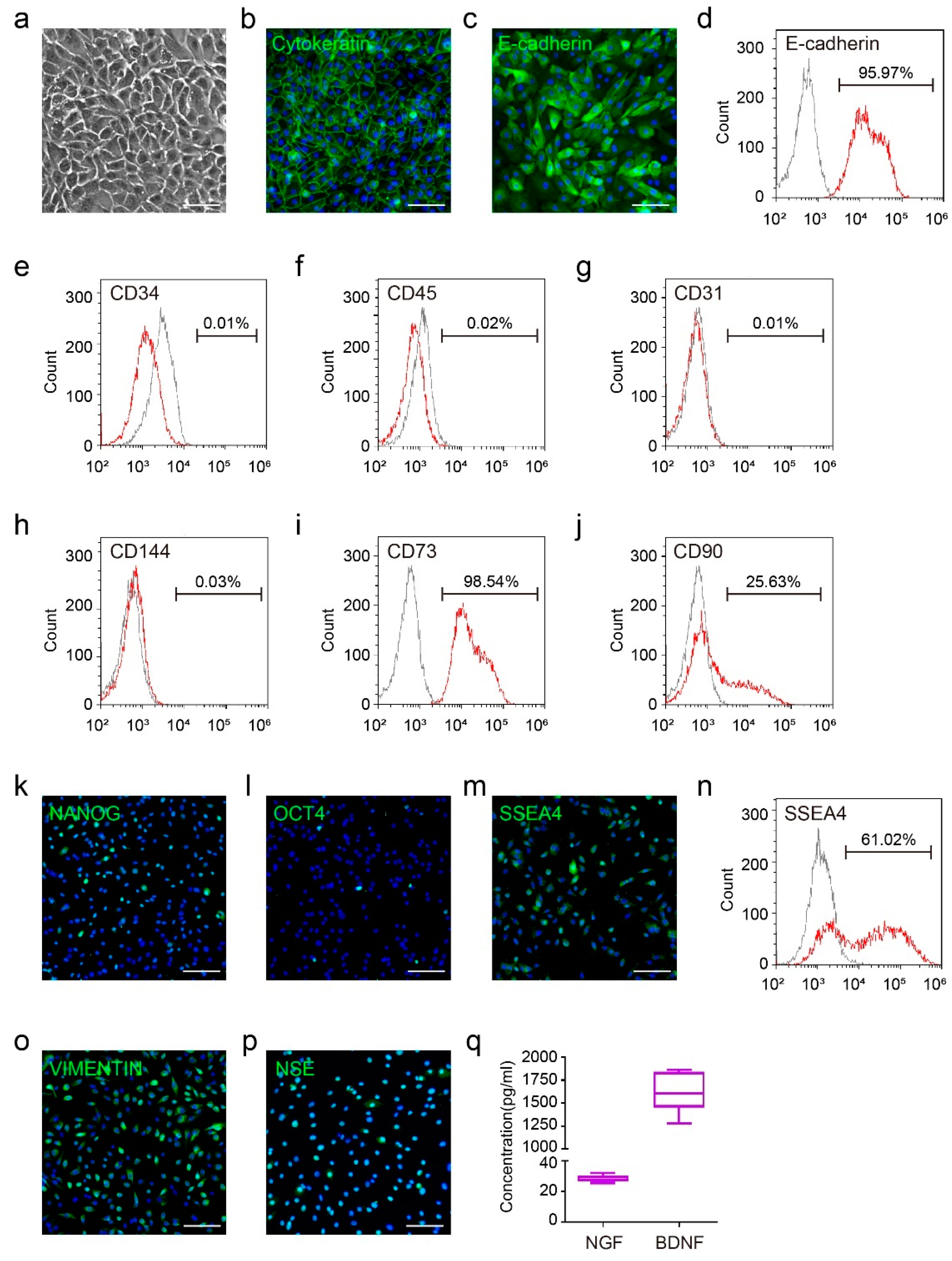 Bioengineering 09 00535 g001