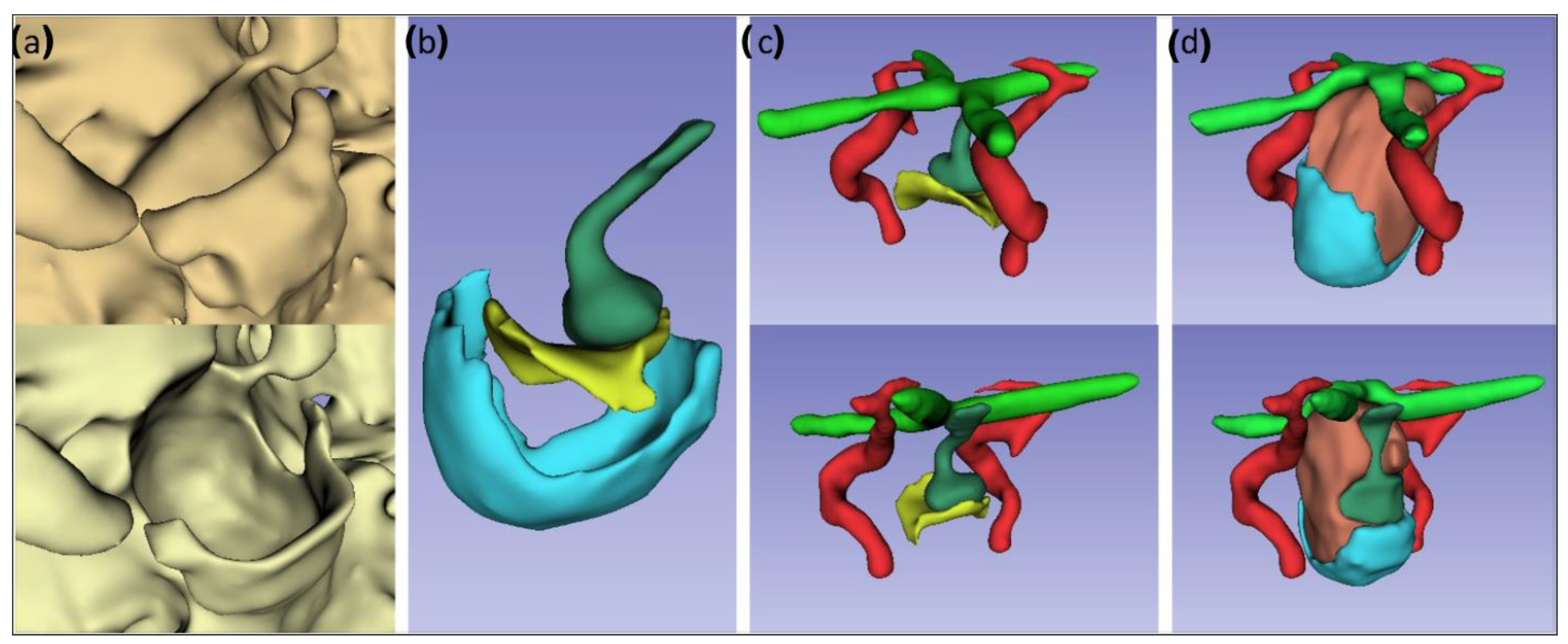 Bioengineering 09 00537 g001 Bioengineering 09 00537 g001